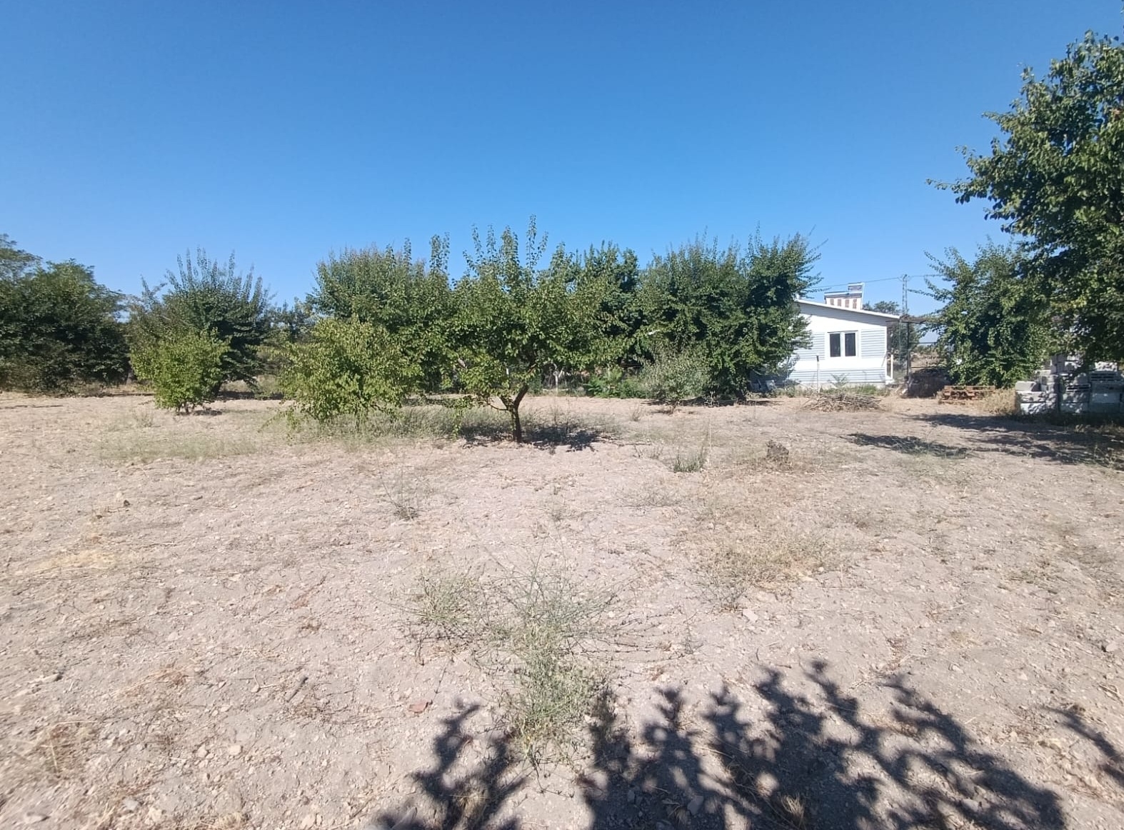 Hacılar Yukarda İmara Girmiş 1215 Metre Satılık Bağ - Resim 5