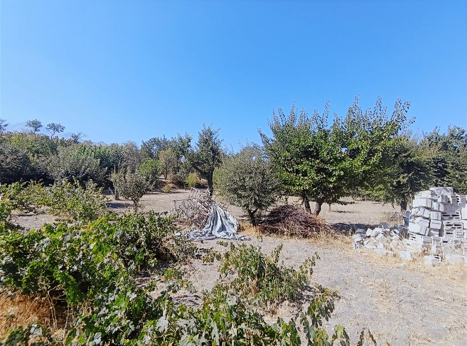 Hacılar Yukarda İmara Girmiş 1215 Metre Satılık Bağ - Resim 16