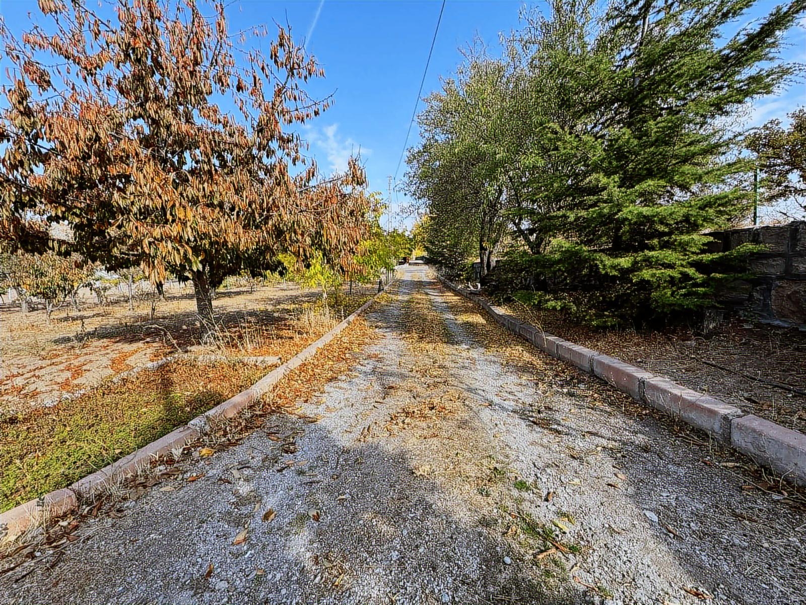 SÖZMAX SÖZ DEN İNECİK'TE SATILIK BAĞ EVİ - Resim 15