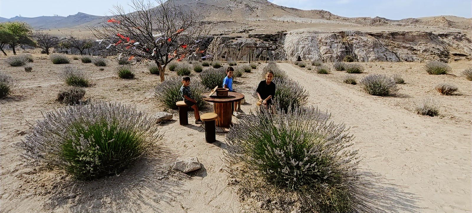 Kapadokya'da Lavanta Bahçeli, GESli,Eşsiz Turistik Yatırım - Resim 12