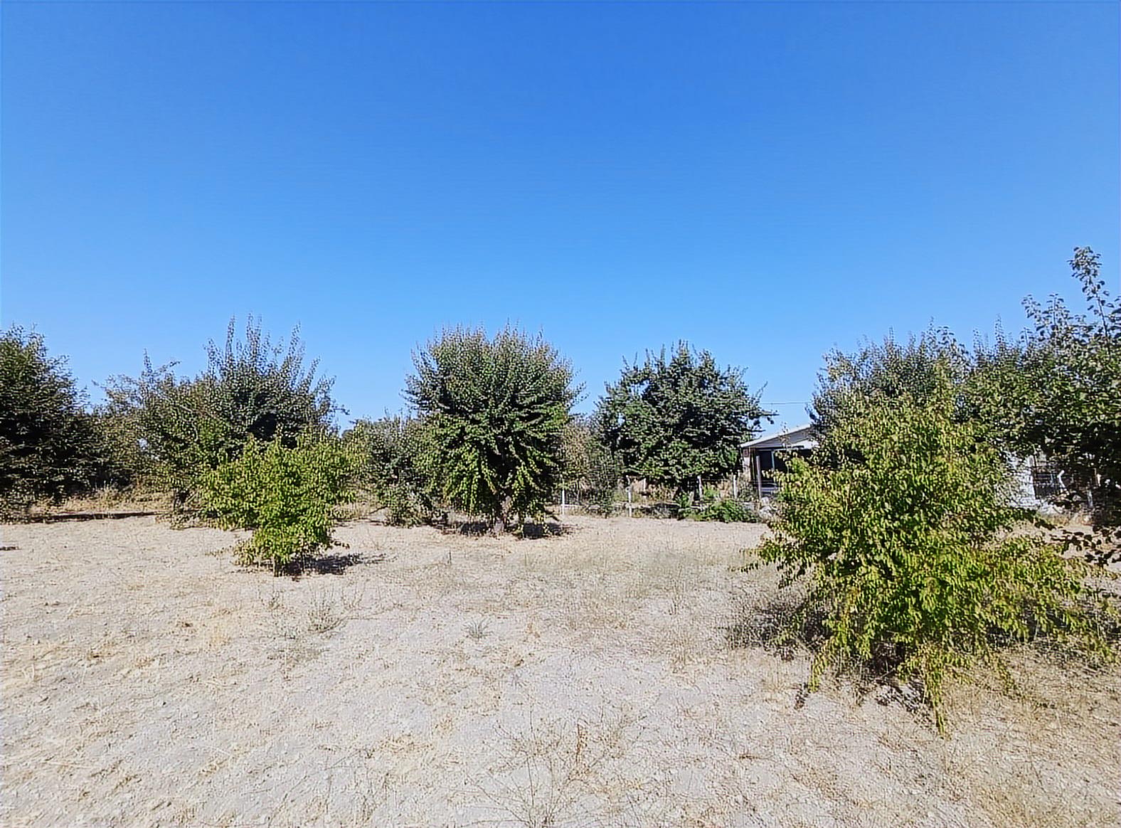 Hacılar Yukarda İmara Girmiş 1215 Metre Satılık Bağ - Resim 19