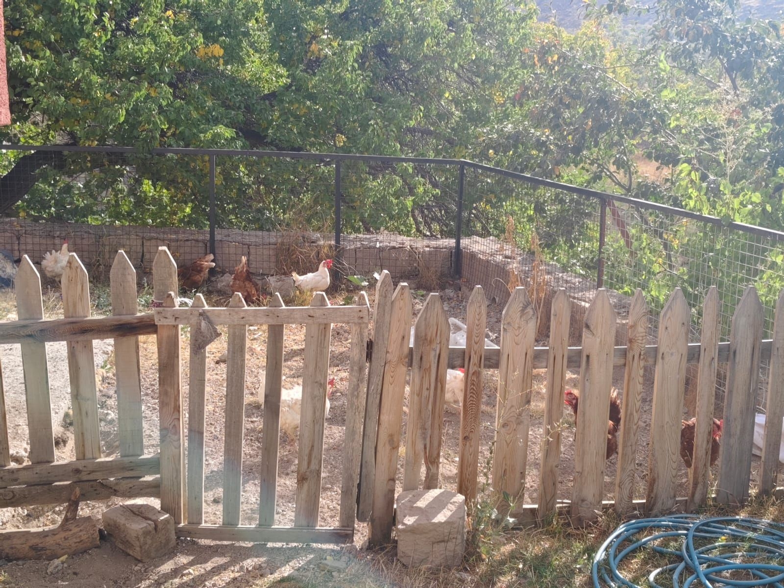 HACILAR AŞAĞI MAHALLEDE 653 M2 SATILIK TEMİZ PARSELLİ BAĞ EVİ - Resim 14