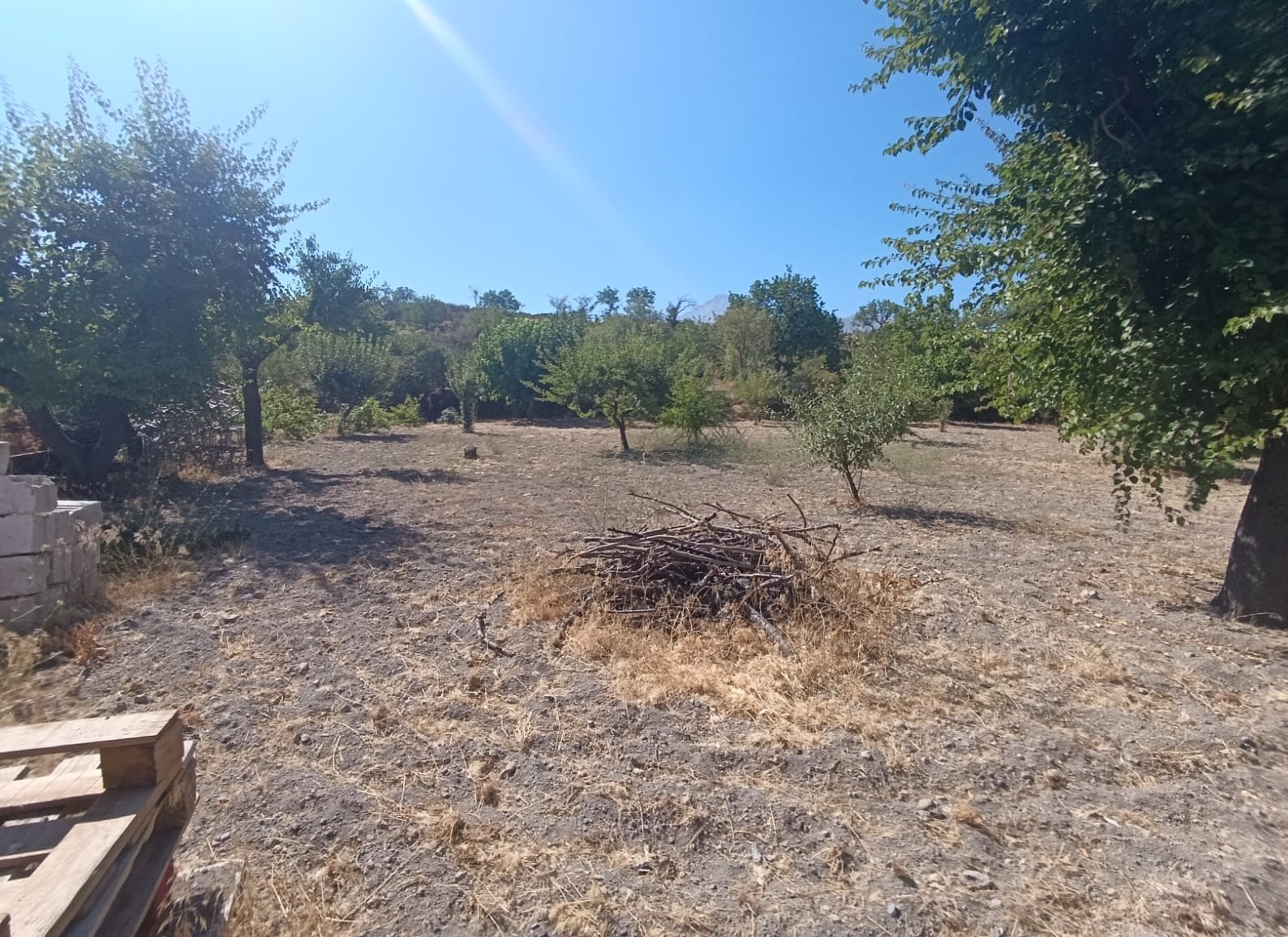 Hacılar Yukarda İmara Girmiş 1215 Metre Satılık Bağ - Resim 24