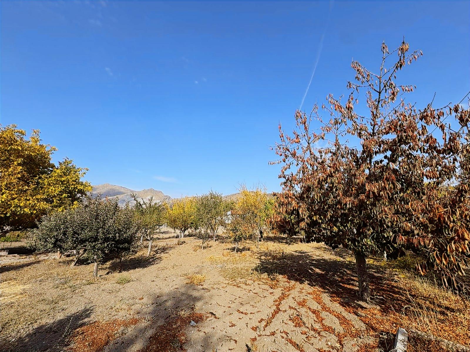 SÖZMAX SÖZ DEN İNECİK'TE SATILIK BAĞ EVİ - Resim 17