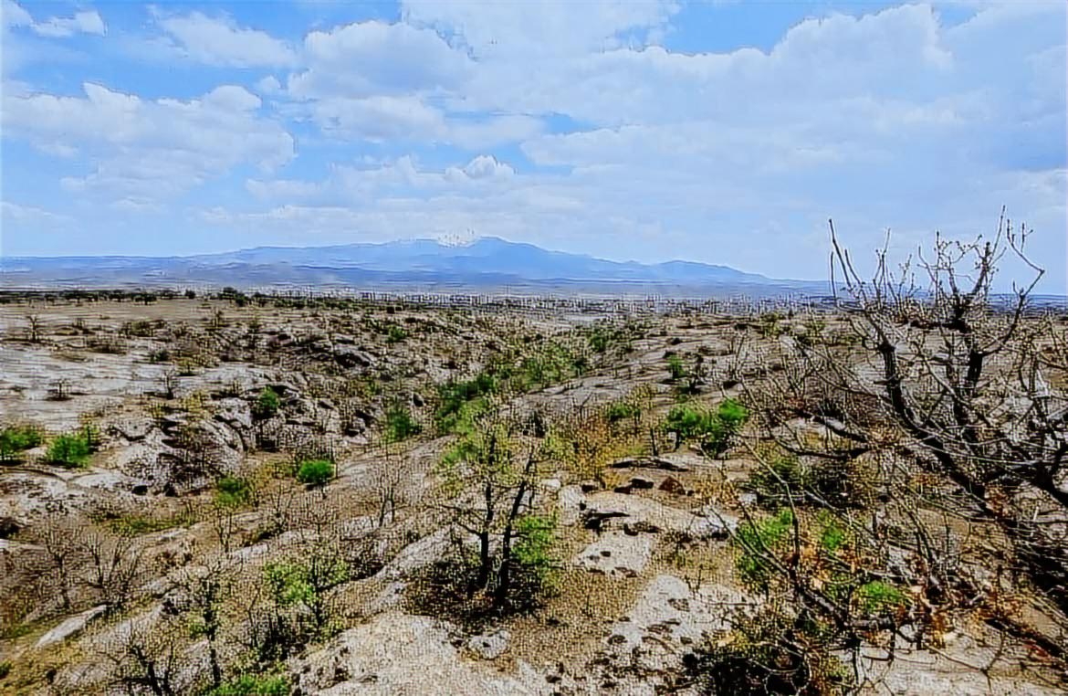 - İNCESU MERKEZE YAKIN EN UYGUN FİYATLI SATILIK 5000m2 BAĞ - Resim 11