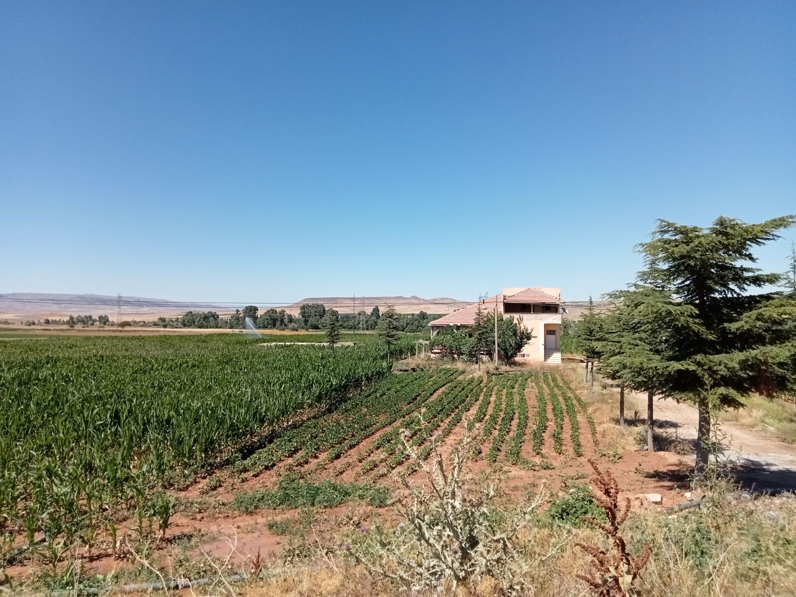 10 Dönüm Tarla İçinde Satılık Müstakil Ev Yer Konum Harika - Resim 5