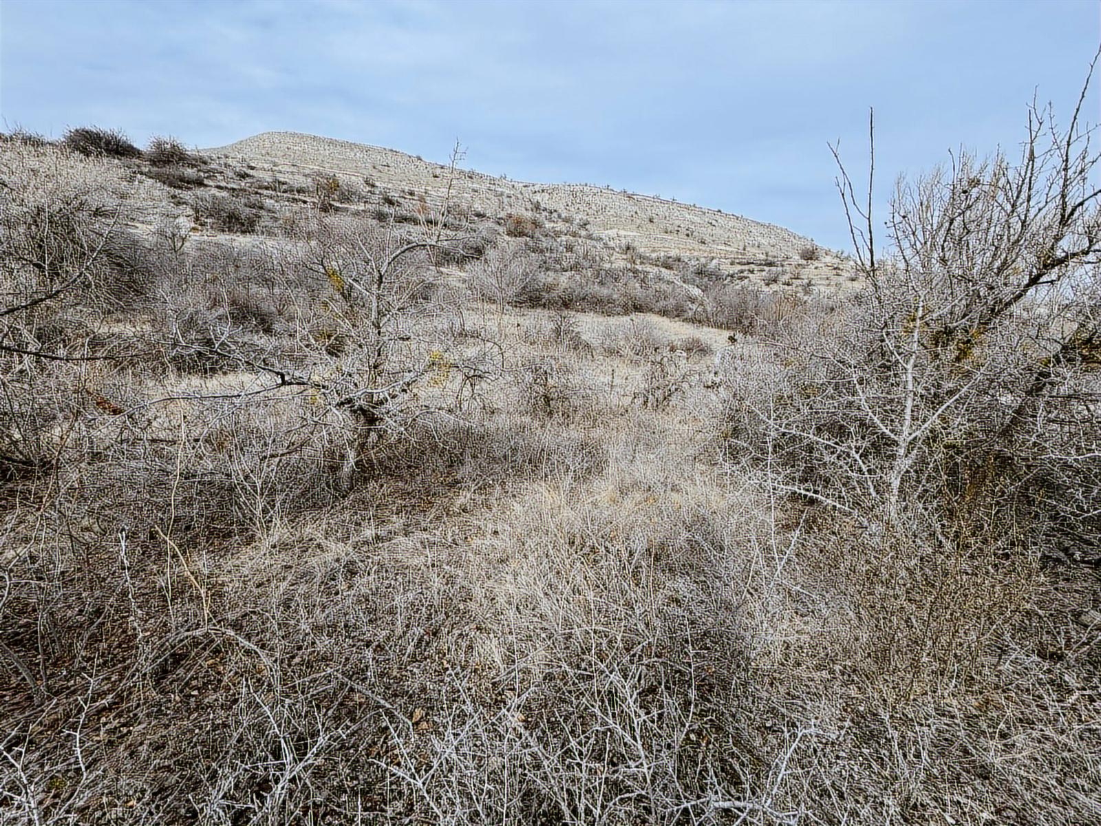 ÜRGÜP AKSALURDA SATILIK TEK TAPU YAPILAŞMA İÇİ BAĞ - Resim 16