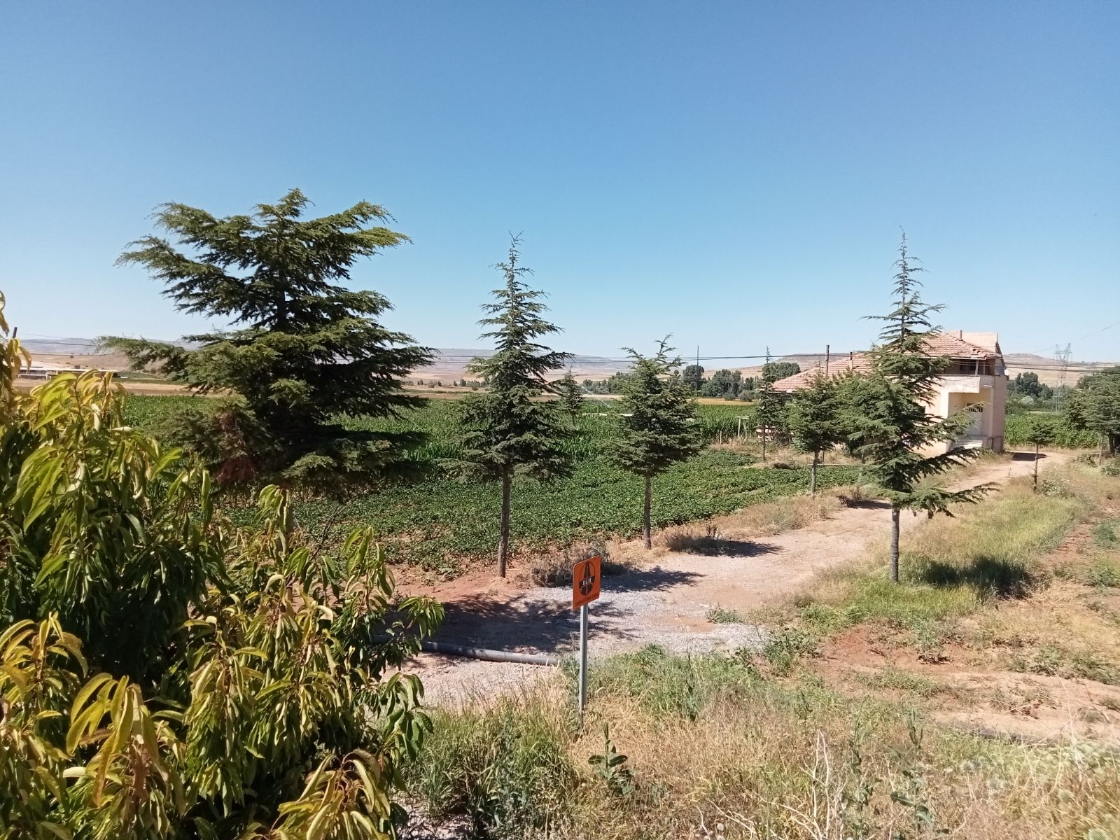 10 Dönüm Tarla İçinde Satılık Müstakil Ev Yer Konum Harika - Resim 33