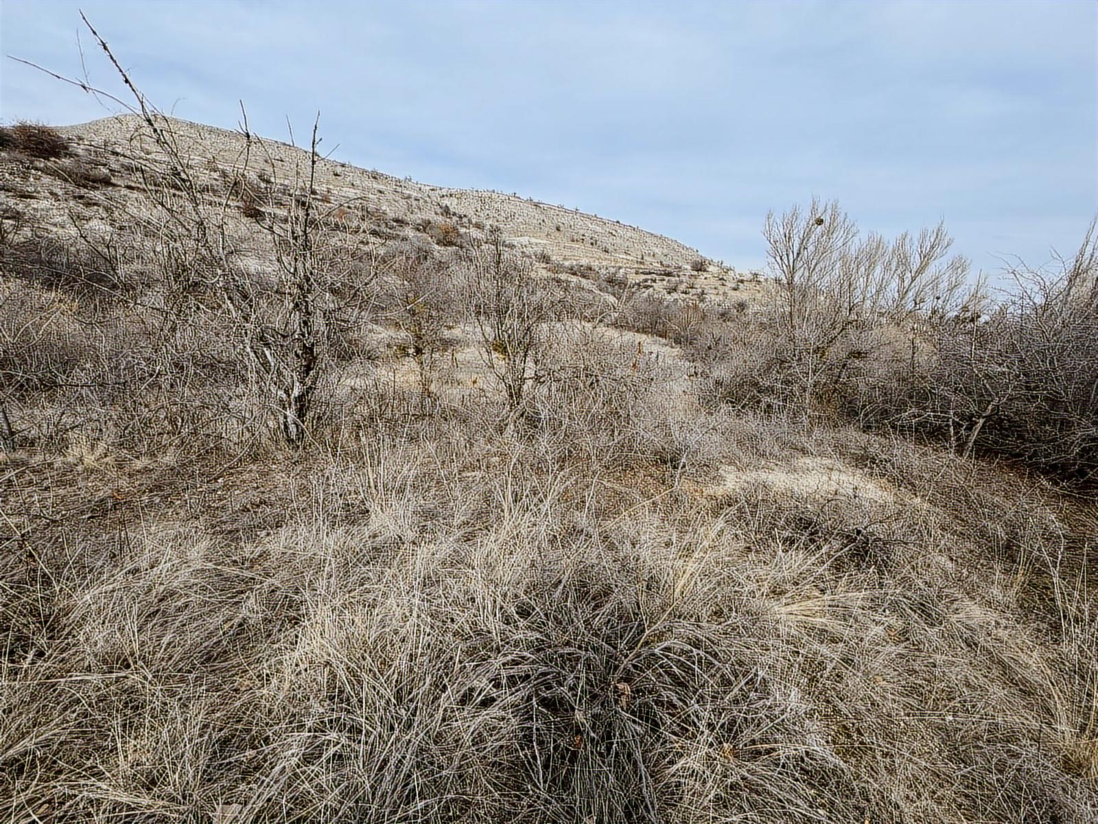 ÜRGÜP AKSALURDA SATILIK TEK TAPU YAPILAŞMA İÇİ BAĞ - Resim 14