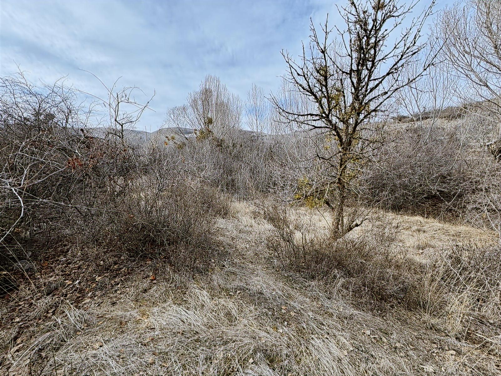 ÜRGÜP AKSALURDA SATILIK TEK TAPU YAPILAŞMA İÇİ BAĞ - Resim 19