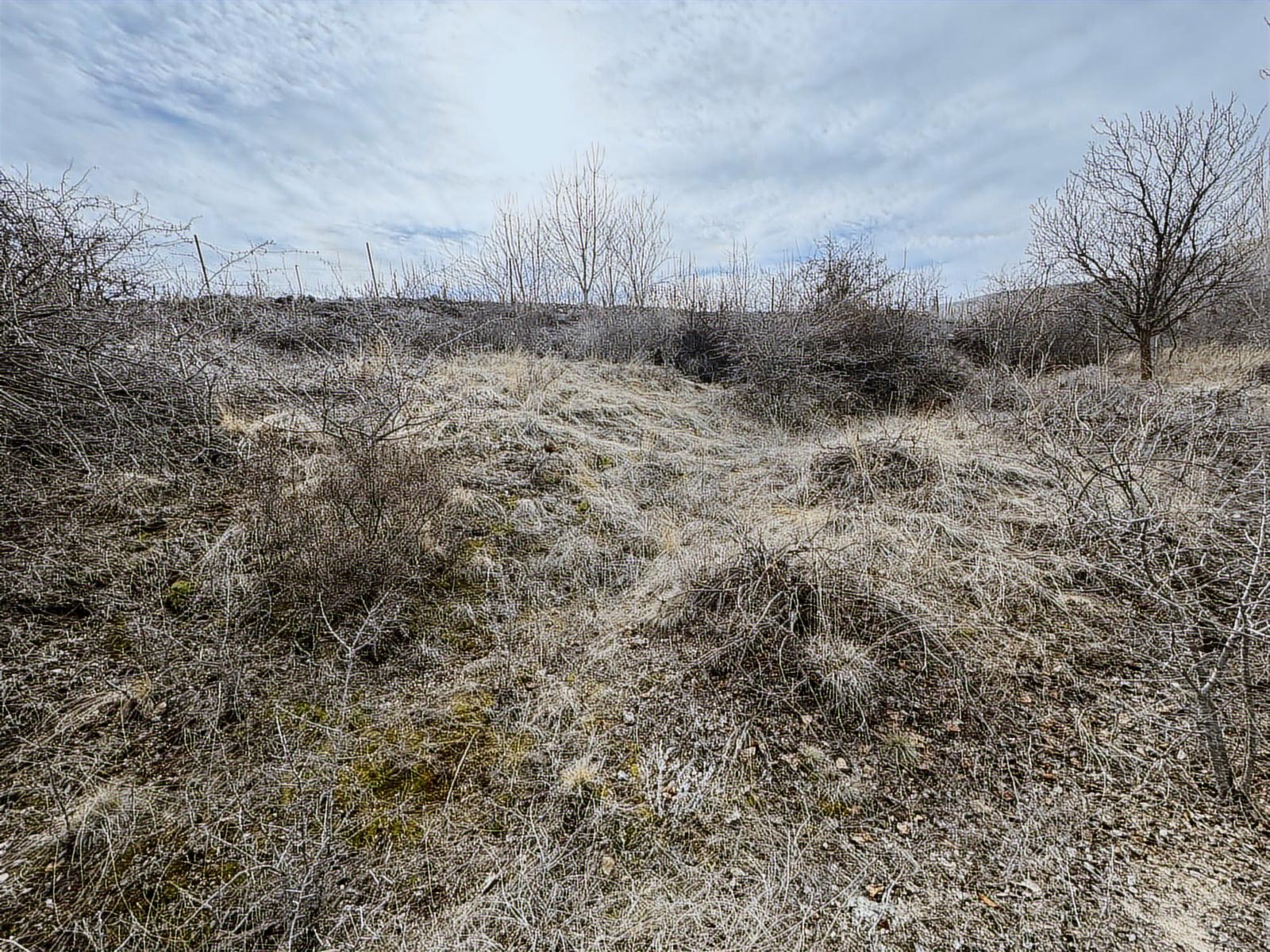 ÜRGÜP AKSALURDA SATILIK TEK TAPU YAPILAŞMA İÇİ BAĞ - Resim 10