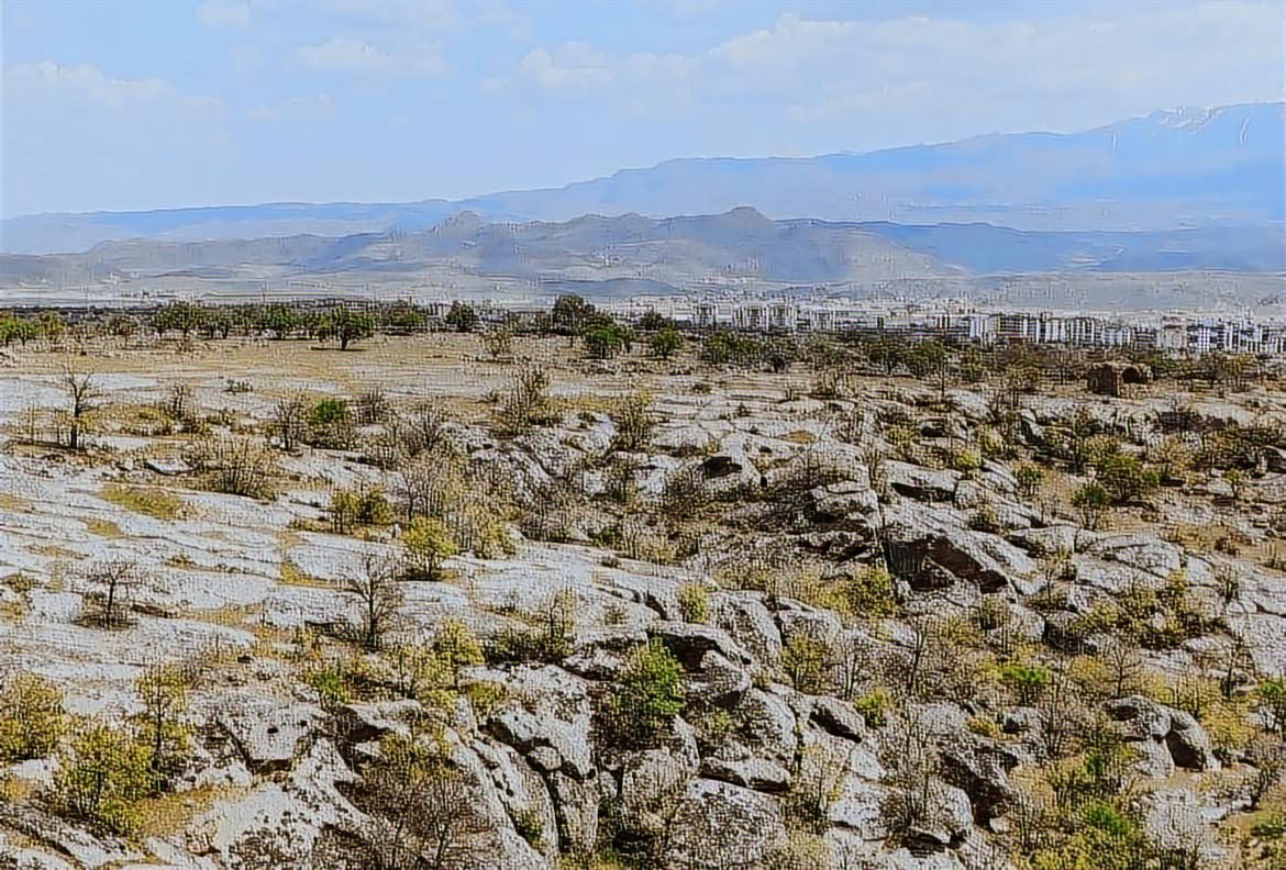 - İNCESU MERKEZE YAKIN EN UYGUN FİYATLI SATILIK 5000m2 BAĞ - Resim 5