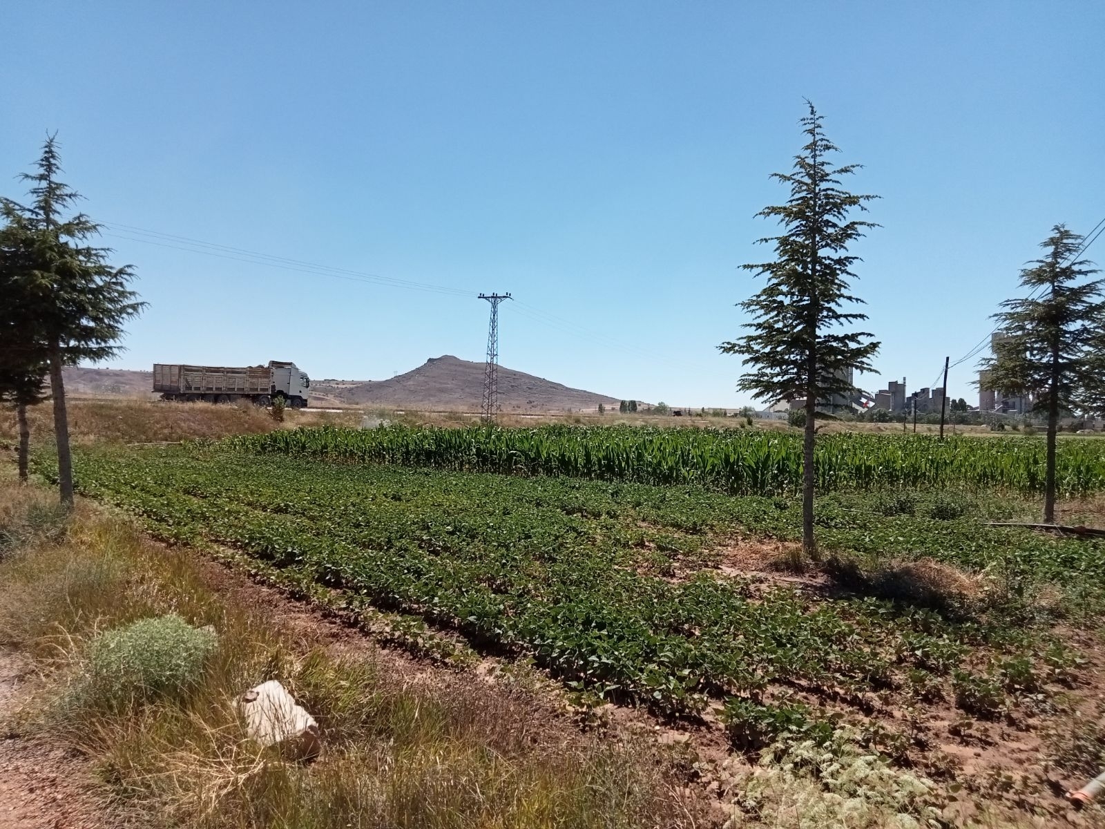 10 Dönüm Tarla İçinde Satılık Müstakil Ev Yer Konum Harika - Resim 10
