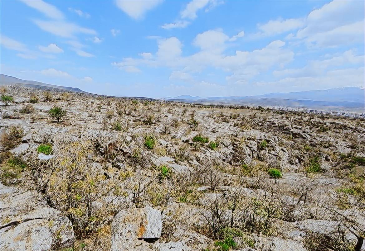 - İNCESU MERKEZE YAKIN EN UYGUN FİYATLI SATILIK 5000m2 BAĞ - Resim 8