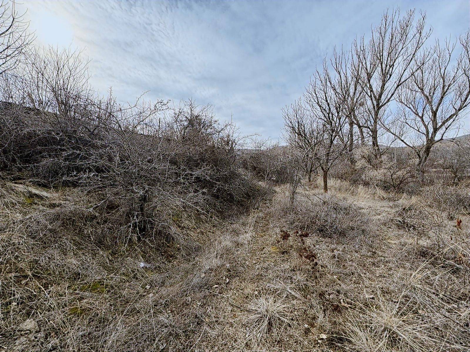 ÜRGÜP AKSALURDA SATILIK TEK TAPU YAPILAŞMA İÇİ BAĞ