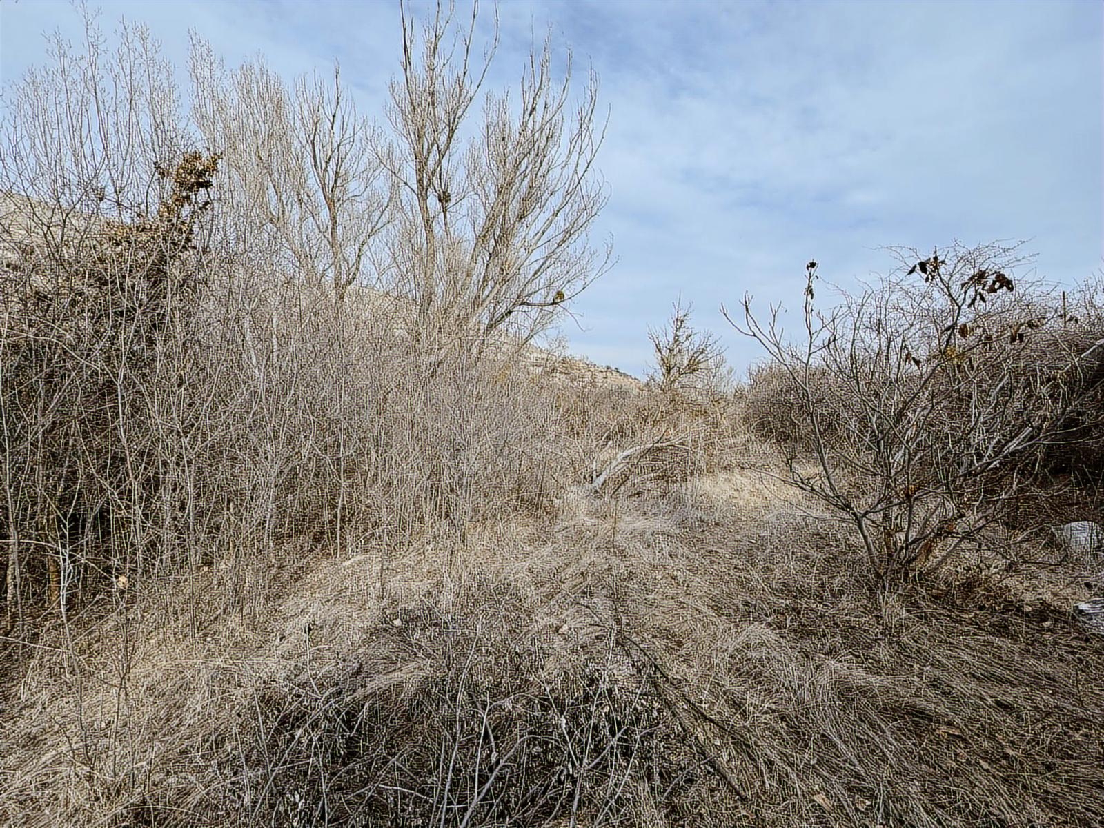ÜRGÜP AKSALURDA SATILIK TEK TAPU YAPILAŞMA İÇİ BAĞ - Resim 7