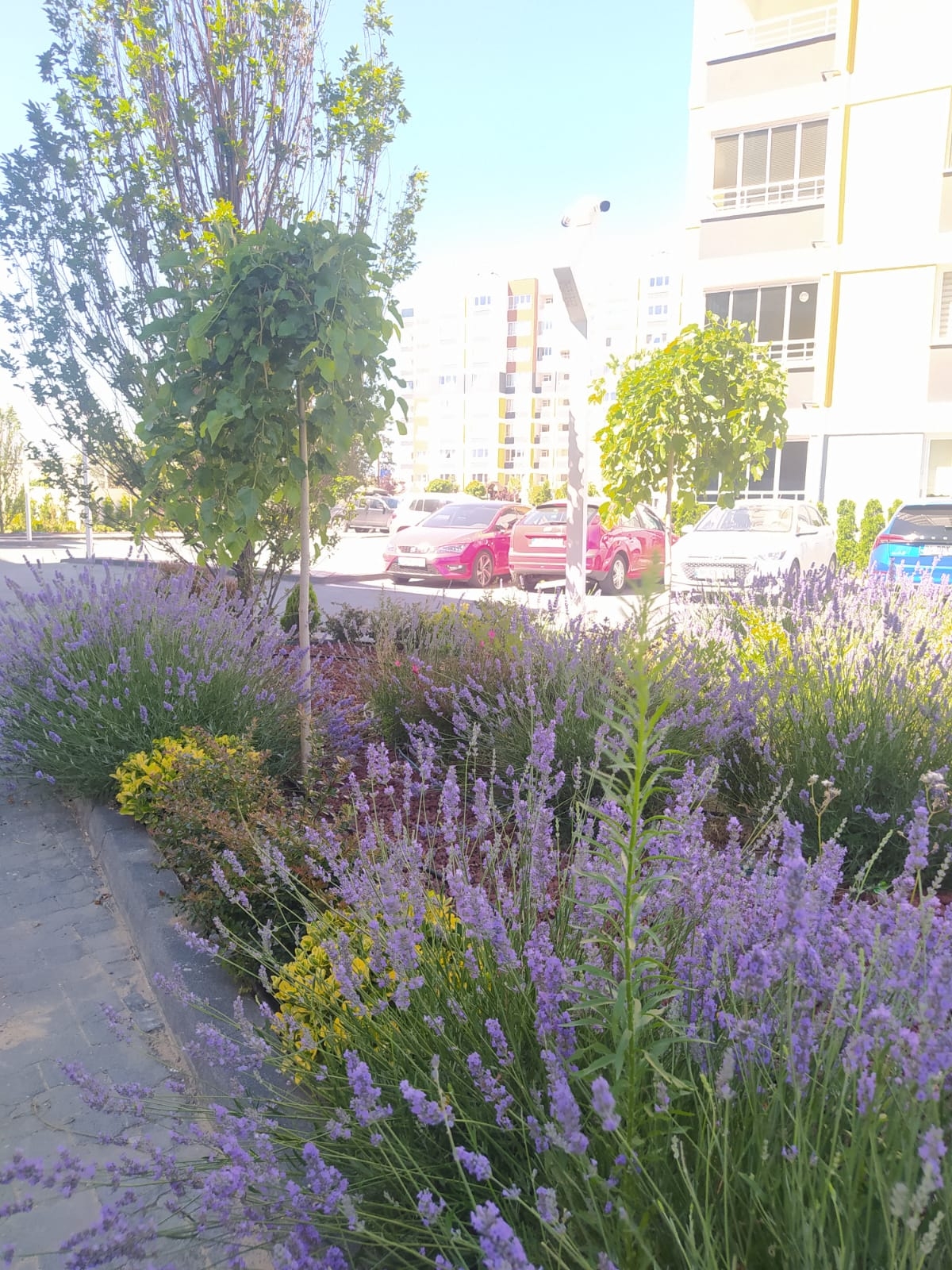 ARVEN NEFES PROJESİNDE 7/24 GÜVENLİKLİ SİTE DE KİRALIK 3+1 DAİRE - Resim 29