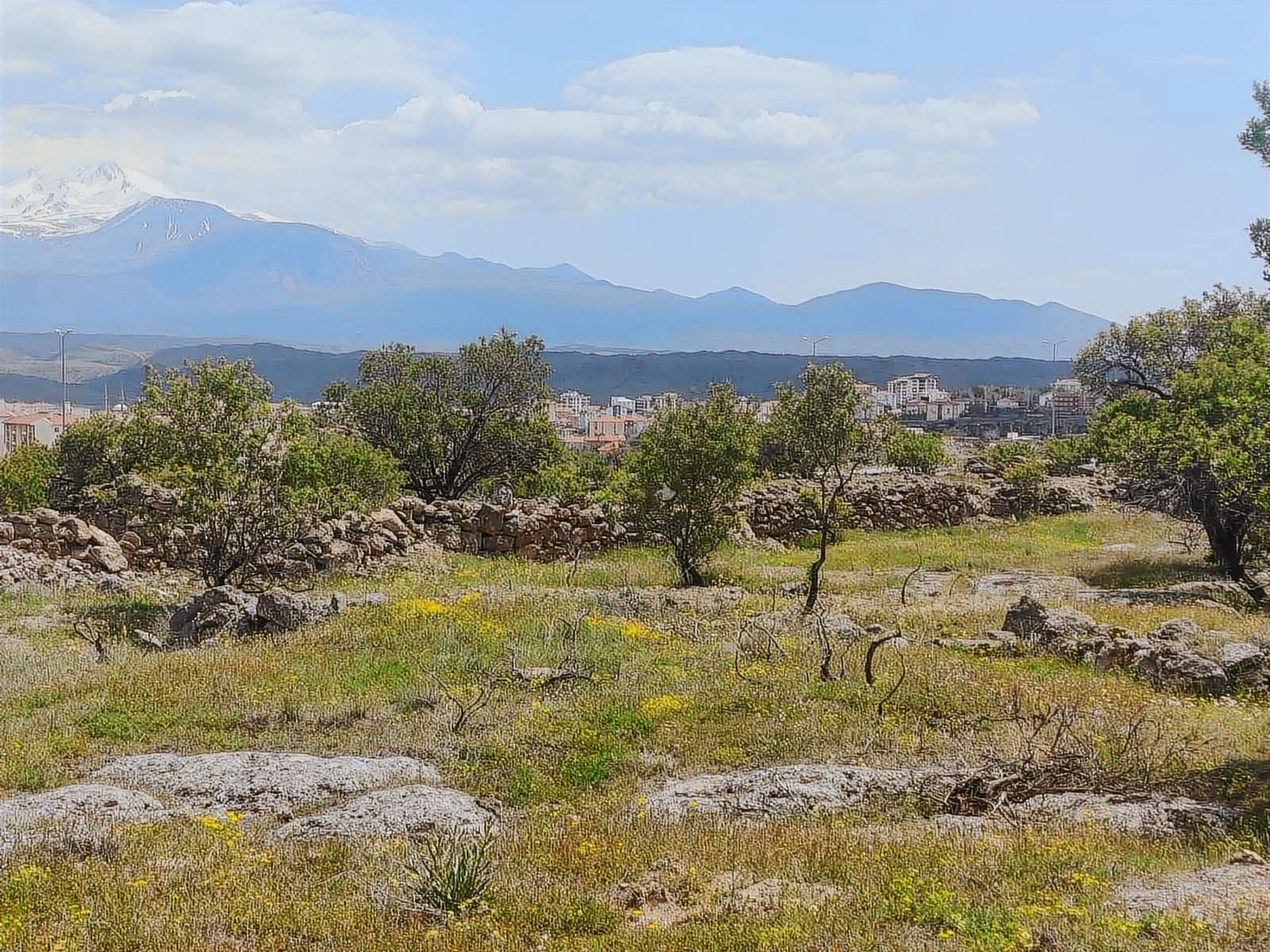 İNCESU BAHÇESARAY'DA İMARA YAKIN SATILIK BAĞ YATIRIMLIK