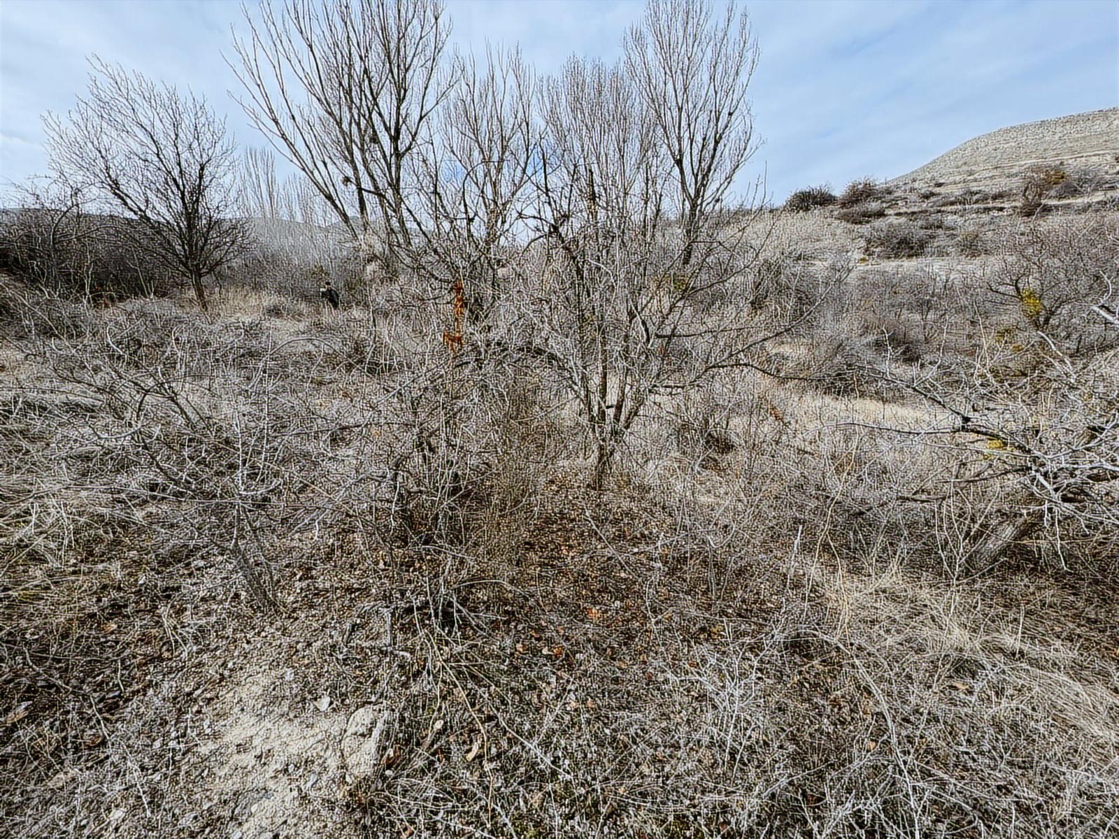 ÜRGÜP AKSALURDA SATILIK TEK TAPU YAPILAŞMA İÇİ BAĞ - Resim 15