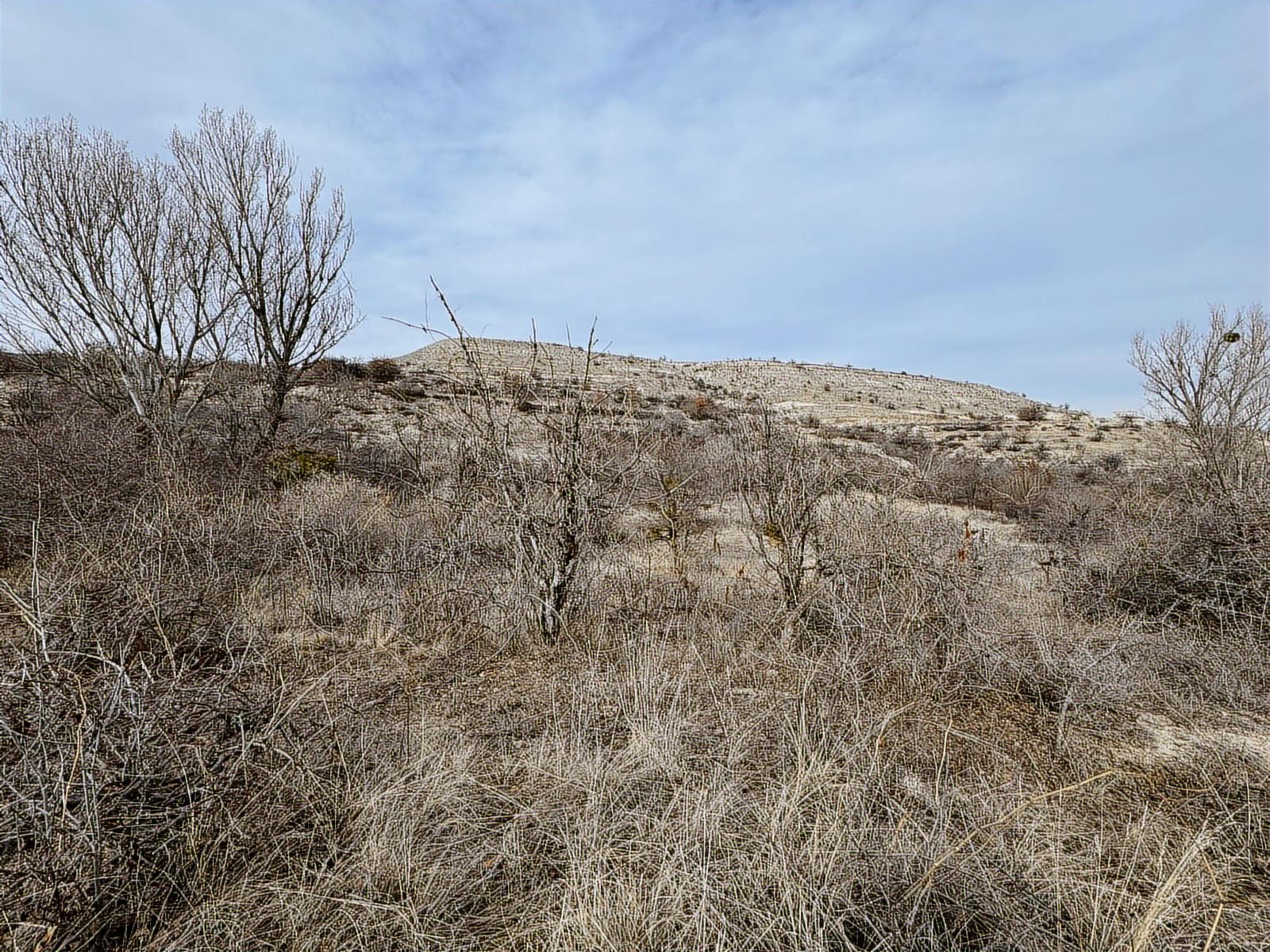 ÜRGÜP AKSALURDA SATILIK TEK TAPU YAPILAŞMA İÇİ BAĞ - Resim 5