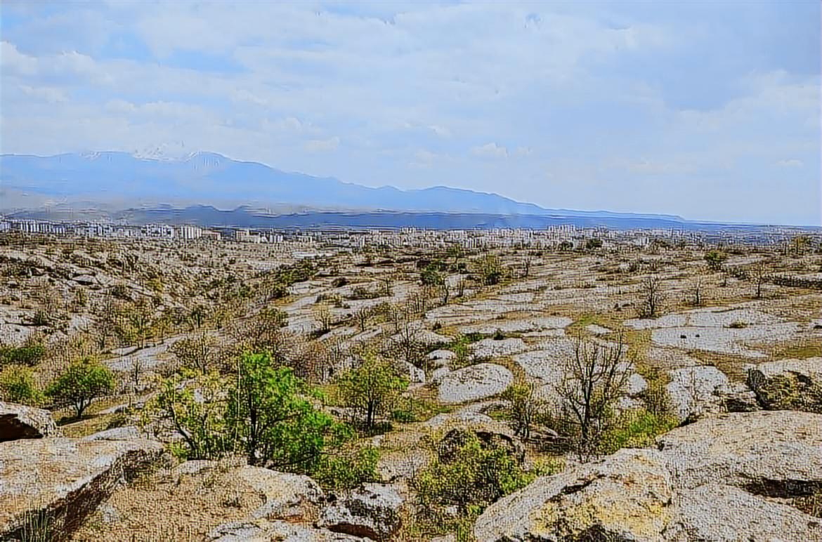 - İNCESU MERKEZE YAKIN EN UYGUN FİYATLI SATILIK 5000m2 BAĞ - Resim 12