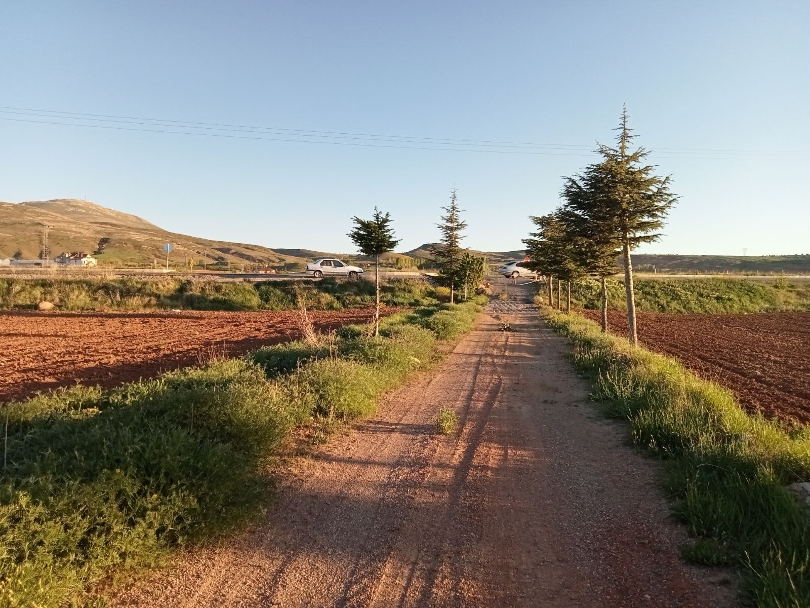 10 Dönüm Tarla İçinde Satılık Müstakil Ev Yer Konum Harika - Resim 21