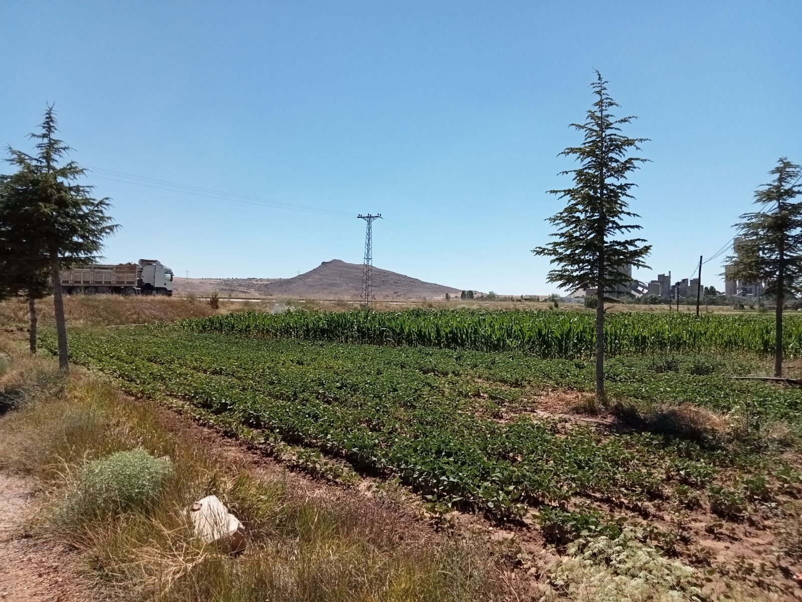 10 Dönüm Tarla İçinde Satılık Müstakil Ev Yer Konum Harika - Resim 23