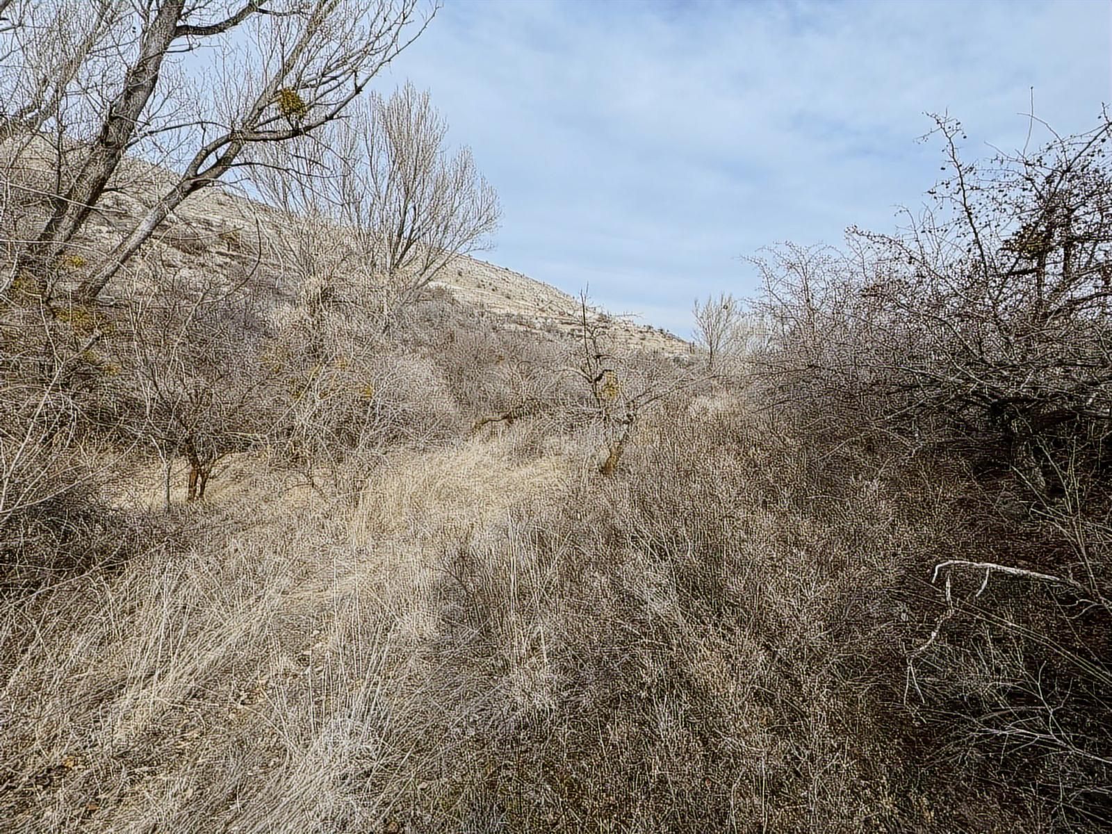 ÜRGÜP AKSALURDA SATILIK TEK TAPU YAPILAŞMA İÇİ BAĞ - Resim 11