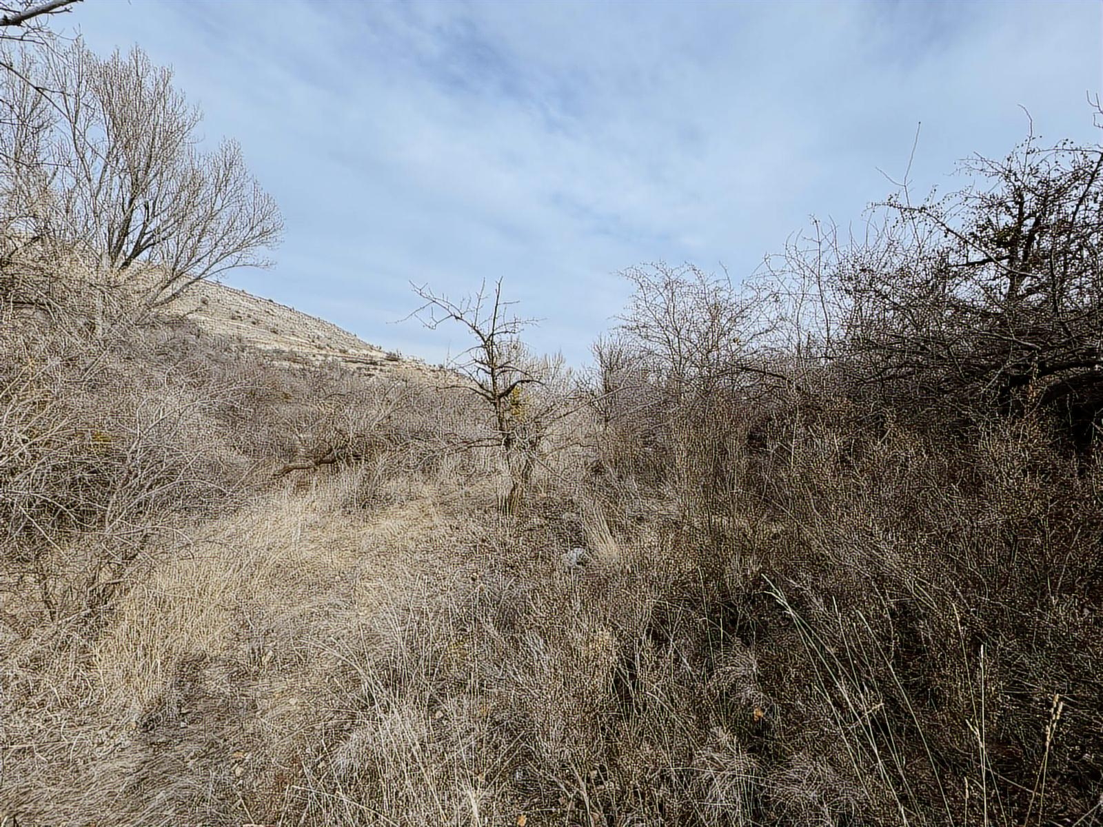 ÜRGÜP AKSALURDA SATILIK TEK TAPU YAPILAŞMA İÇİ BAĞ - Resim 18