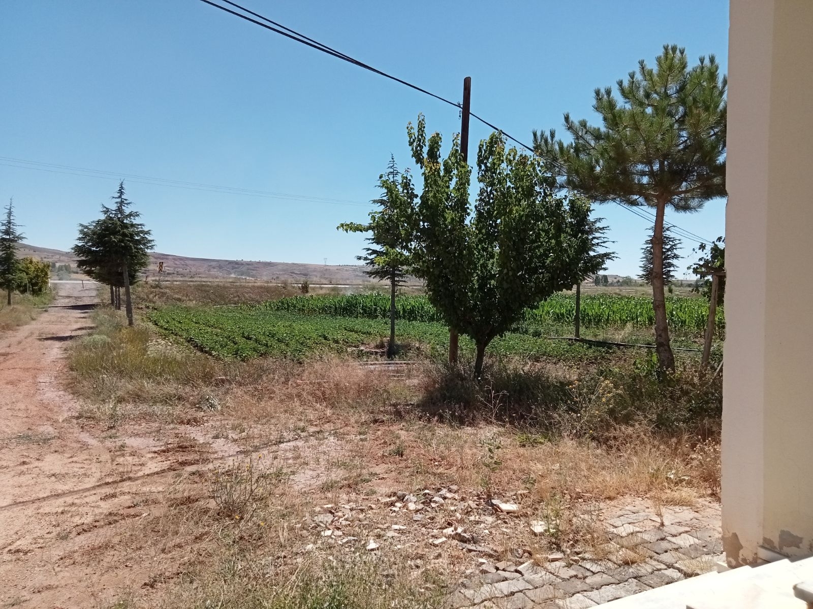 10 Dönüm Tarla İçinde Satılık Müstakil Ev Yer Konum Harika - Resim 28