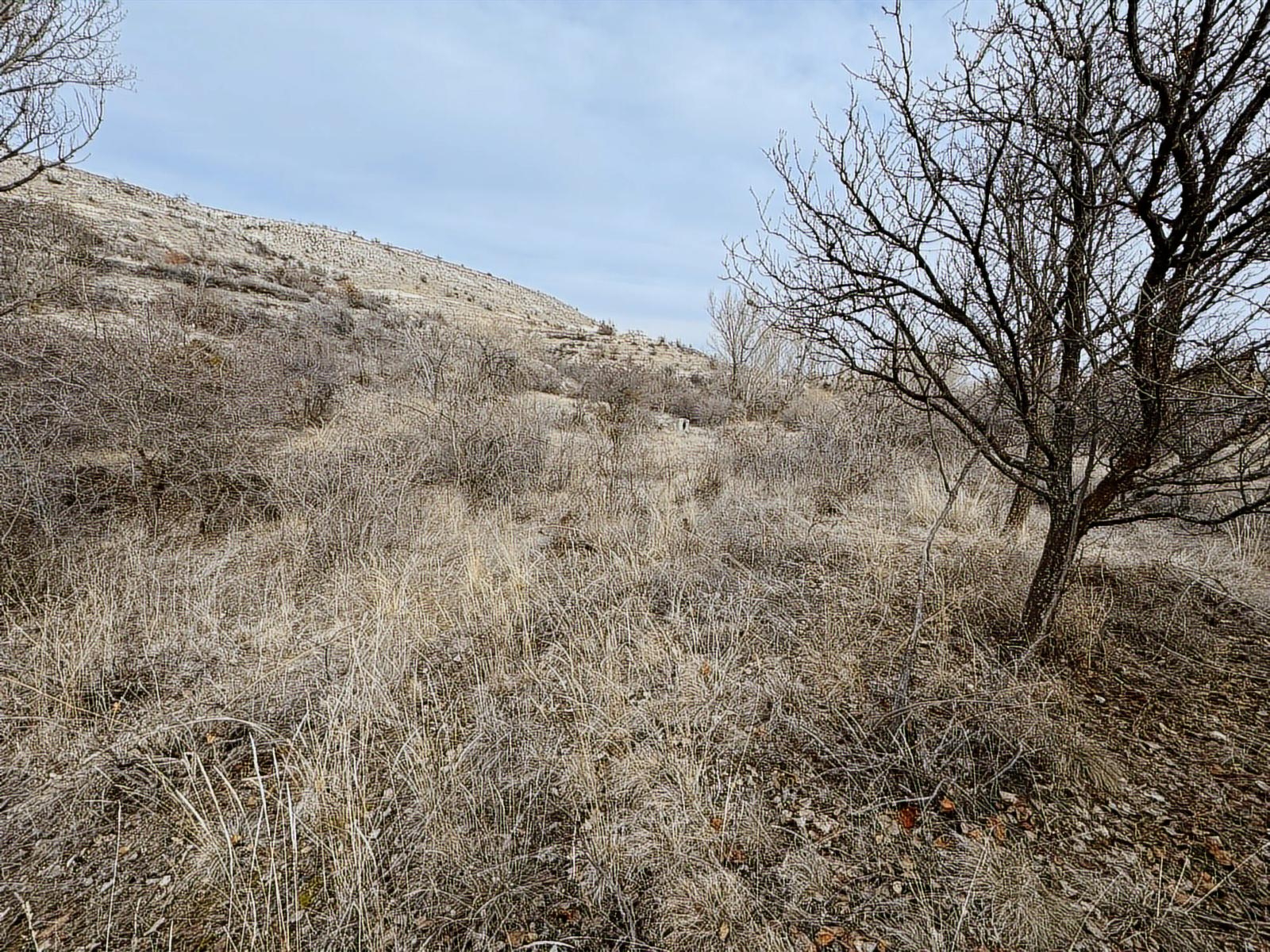 ÜRGÜP AKSALURDA SATILIK TEK TAPU YAPILAŞMA İÇİ BAĞ - Resim 8