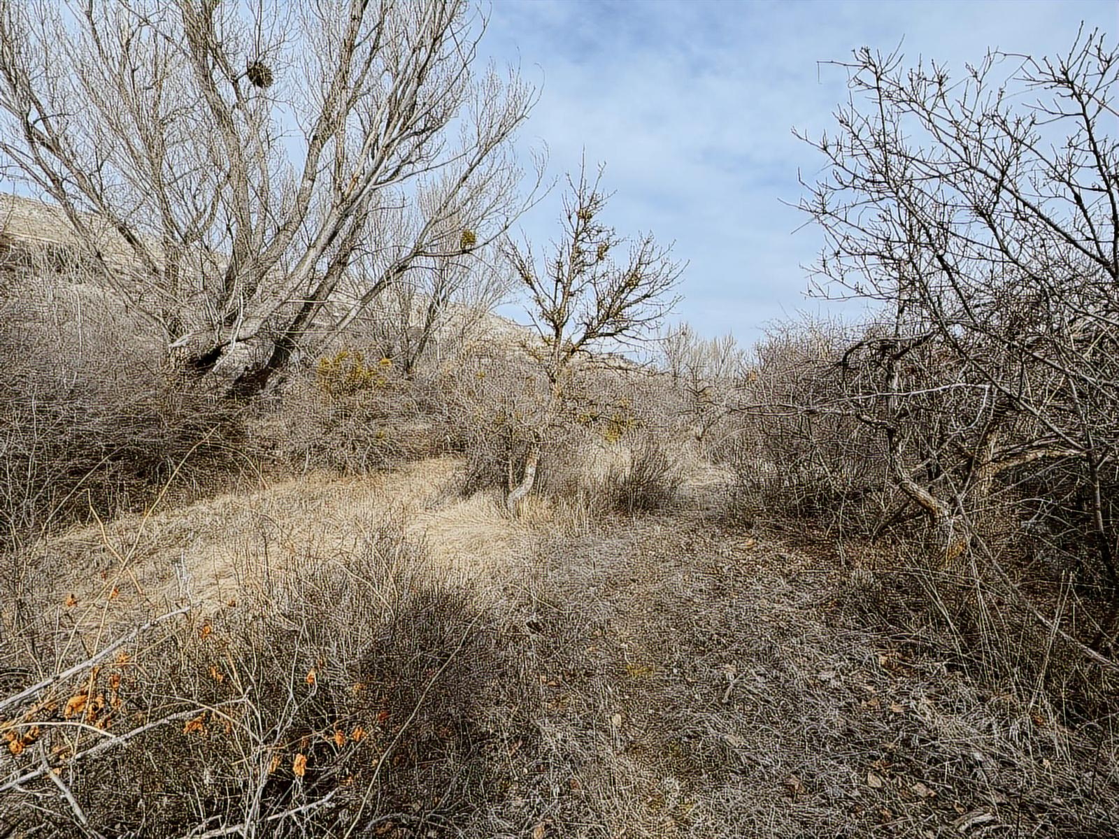 ÜRGÜP AKSALURDA SATILIK TEK TAPU YAPILAŞMA İÇİ BAĞ - Resim 6