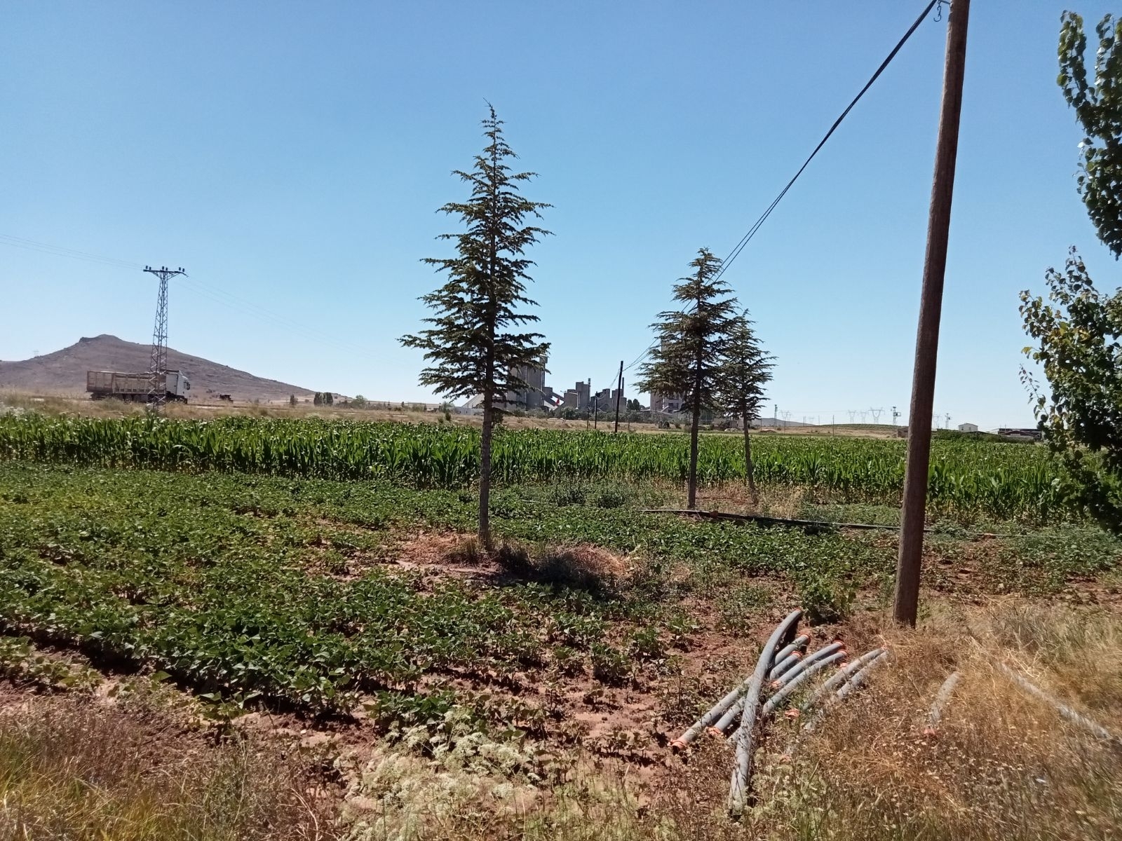 10 Dönüm Tarla İçinde Satılık Müstakil Ev Yer Konum Harika - Resim 12