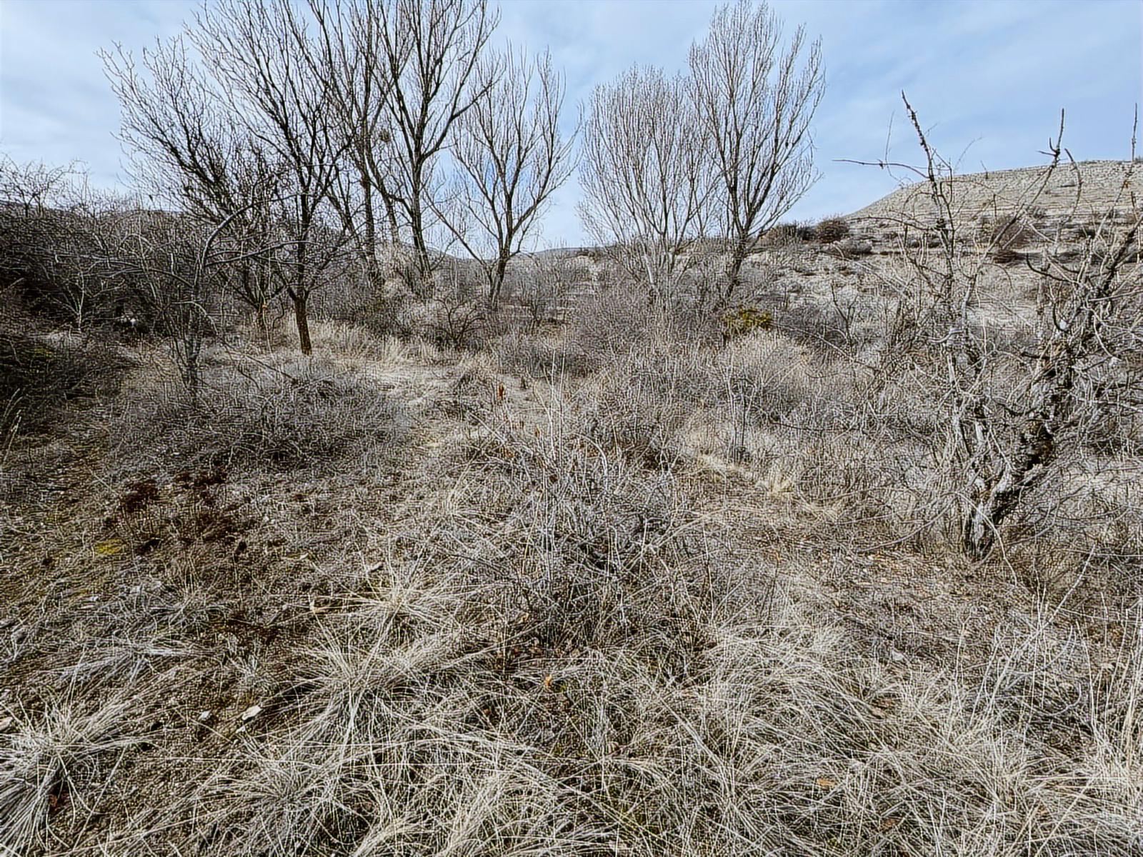 ÜRGÜP AKSALURDA SATILIK TEK TAPU YAPILAŞMA İÇİ BAĞ - Resim 4