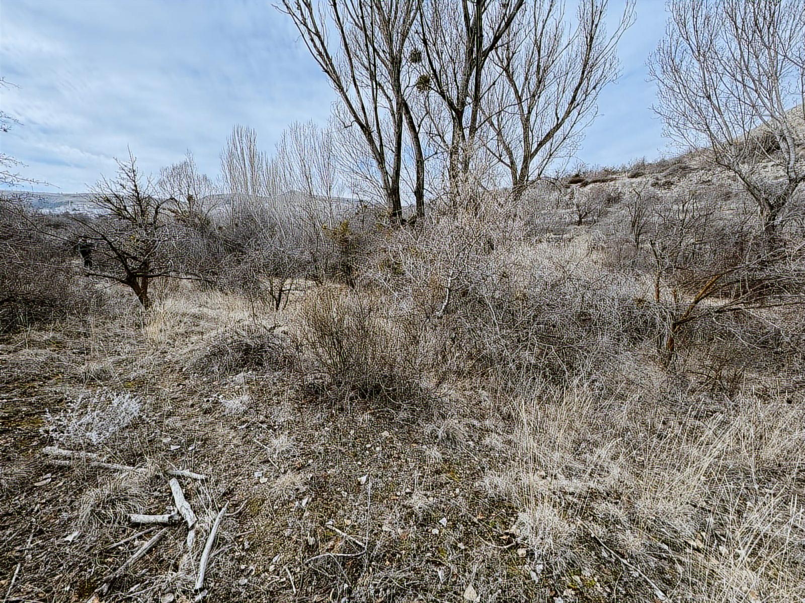 ÜRGÜP AKSALURDA SATILIK TEK TAPU YAPILAŞMA İÇİ BAĞ - Resim 17