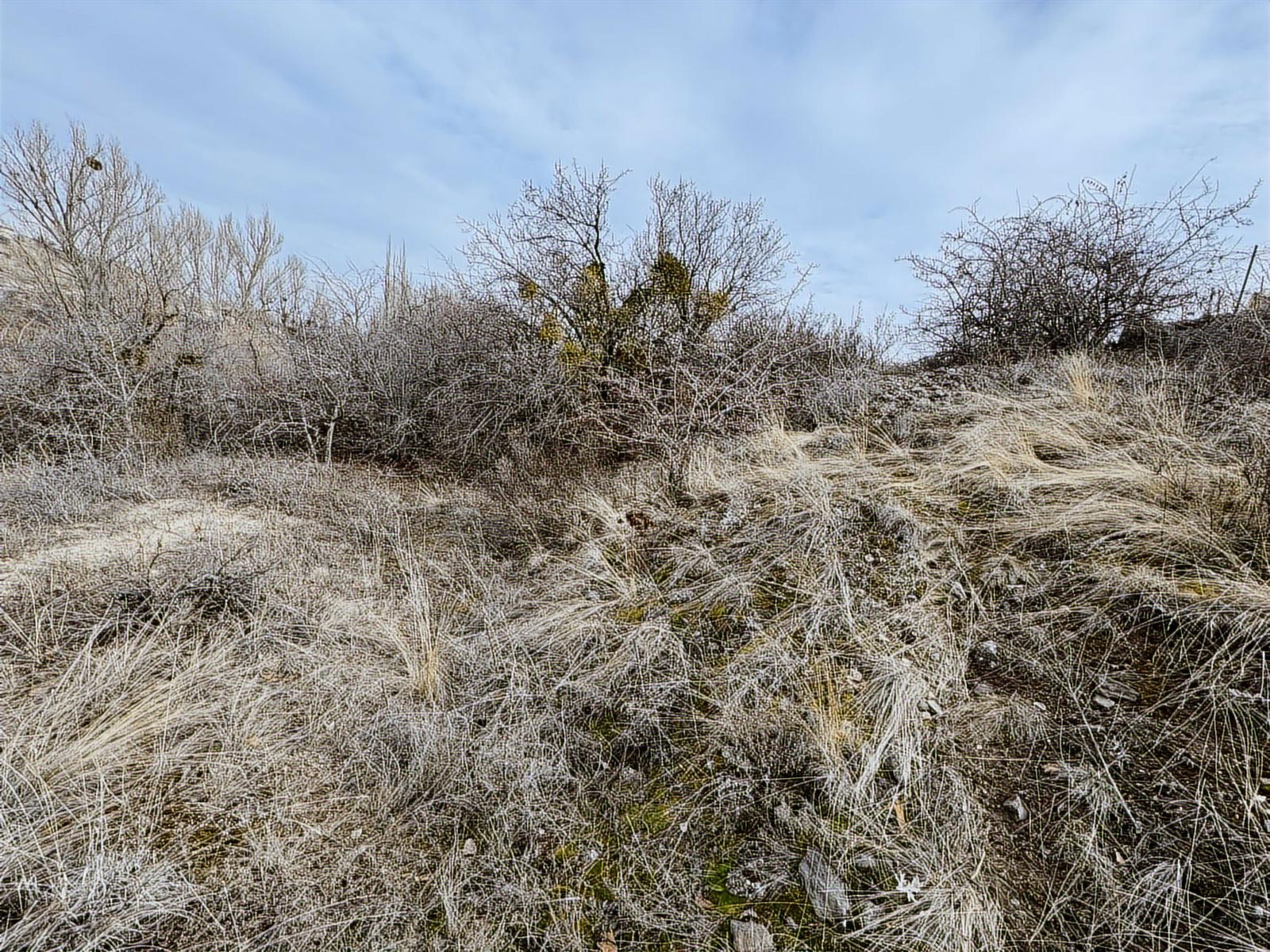 ÜRGÜP AKSALURDA SATILIK TEK TAPU YAPILAŞMA İÇİ BAĞ - Resim 2