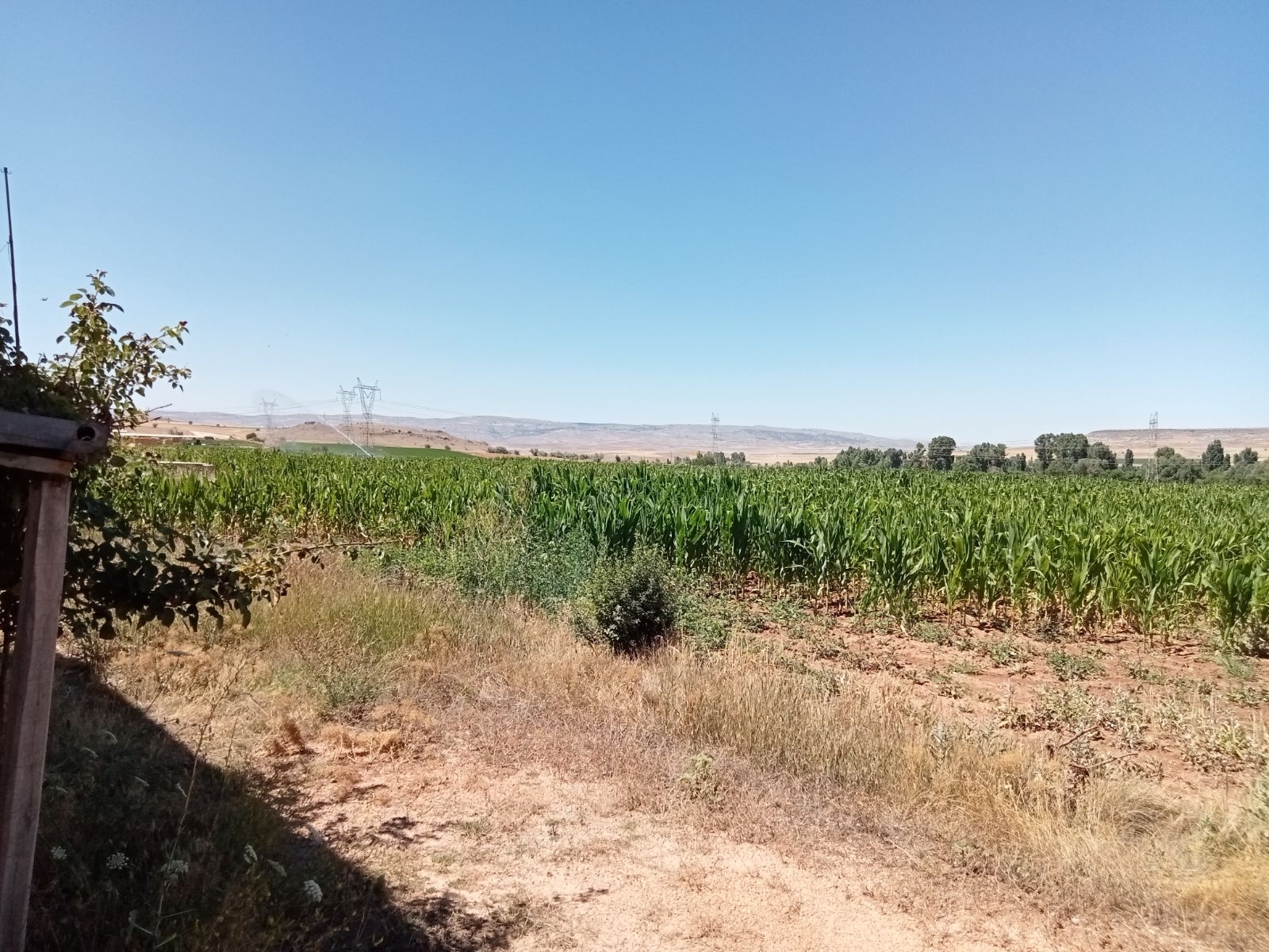 10 Dönüm Tarla İçinde Satılık Müstakil Ev Yer Konum Harika - Resim 8