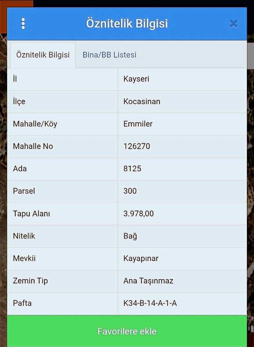 EMMİLER SATILIK BAĞ - Resim 2