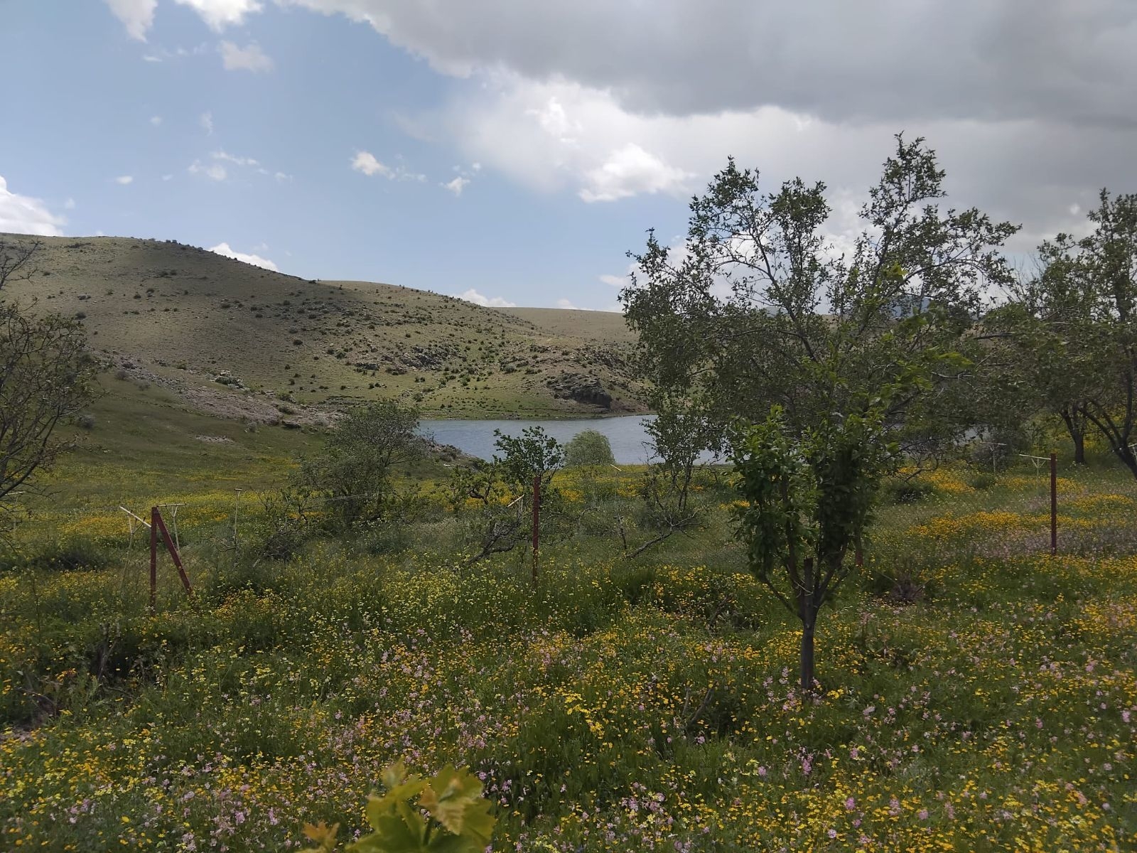 YUVALIDA FIRSAT SATILIK BAĞ - Resim 4