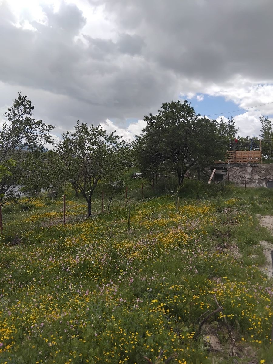 YUVALIDA FIRSAT SATILIK BAĞ - Resim 12
