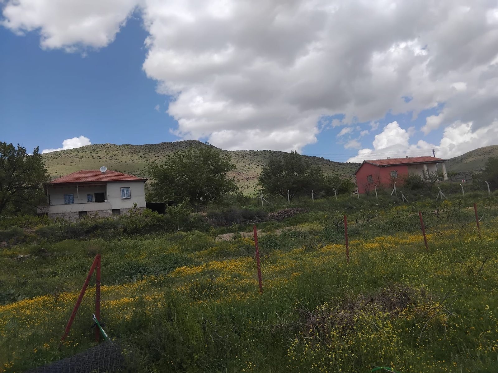 YUVALIDA FIRSAT SATILIK BAĞ - Resim 11