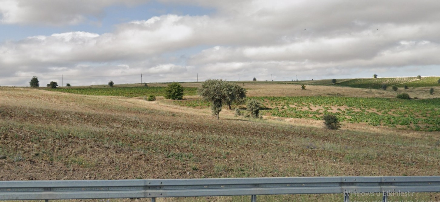 TALAS KAMBER DE ANA YOLA YAKIN SATILIK 8650 M2 TARLA - Resim 3