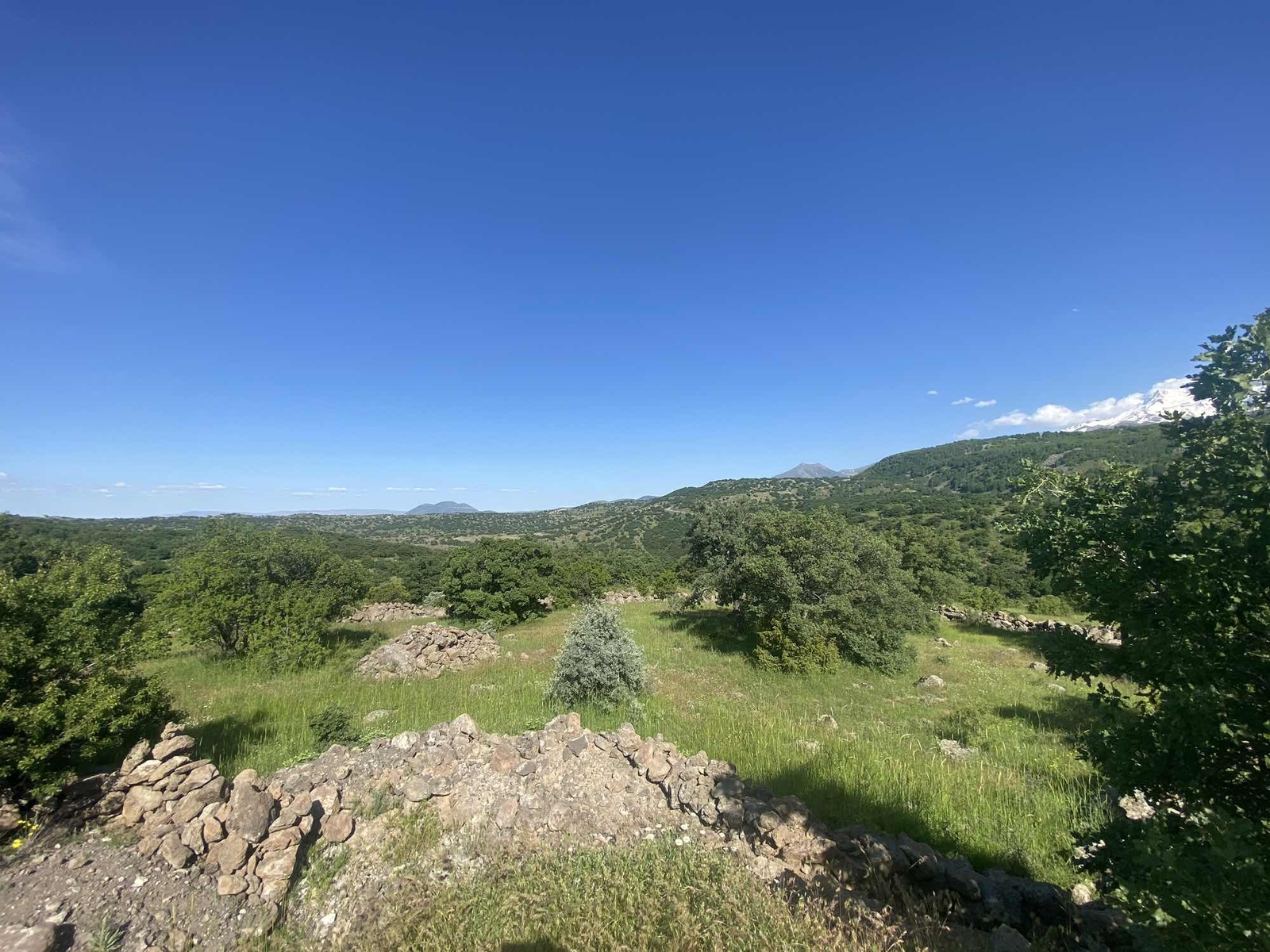 HACILAR BEĞENDİKTE SATILIK TEK TAPU 1312 M2 SATILIK TARLA - Resim 8