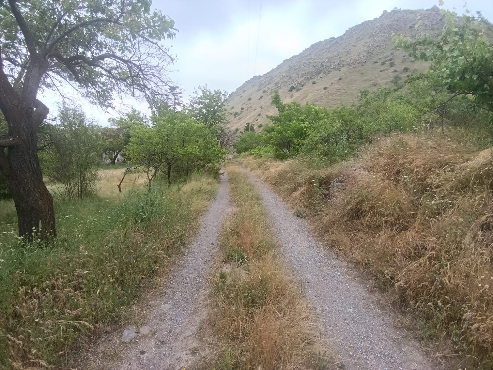 Altınolukta Manzaralı Anayola Cephe Satılık Kadastro Parsel - Resim 3