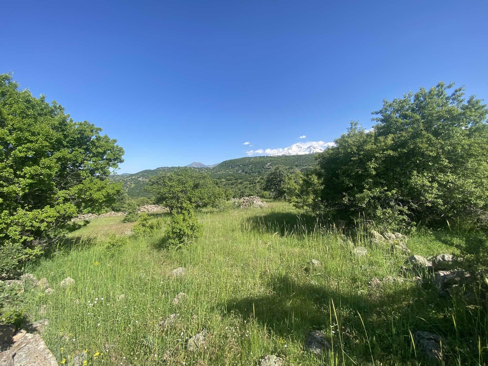 HACILAR BEĞENDİKTE SATILIK TEK TAPU 1312 M2 SATILIK TARLA - Resim 6