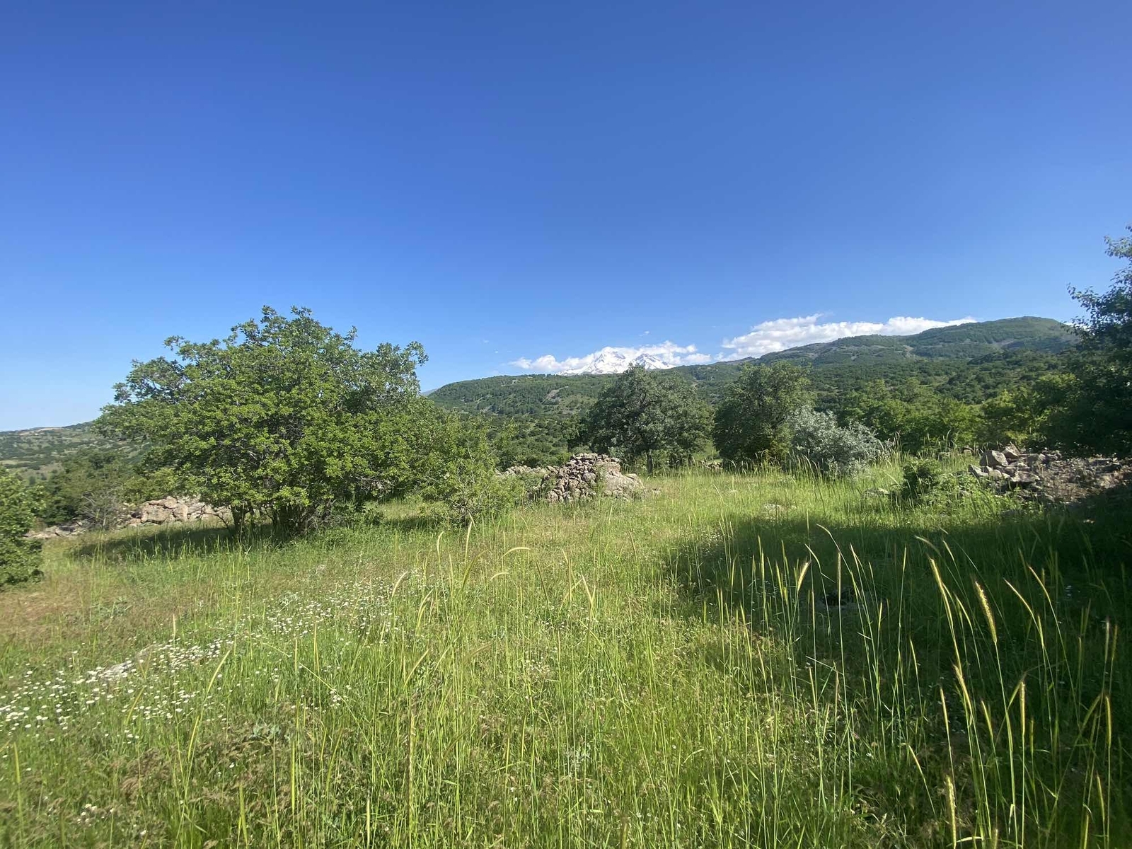 HACILAR BEĞENDİKTE SATILIK TEK TAPU 5365 M2 TARLA - Resim 10