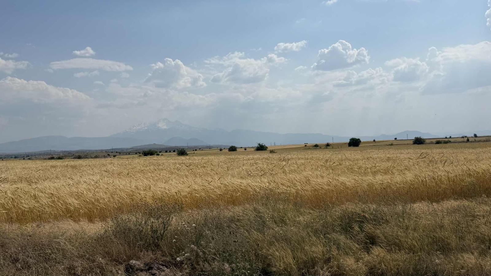 Ağırnas 'ta Satılık Dev Tarla - Resim 10