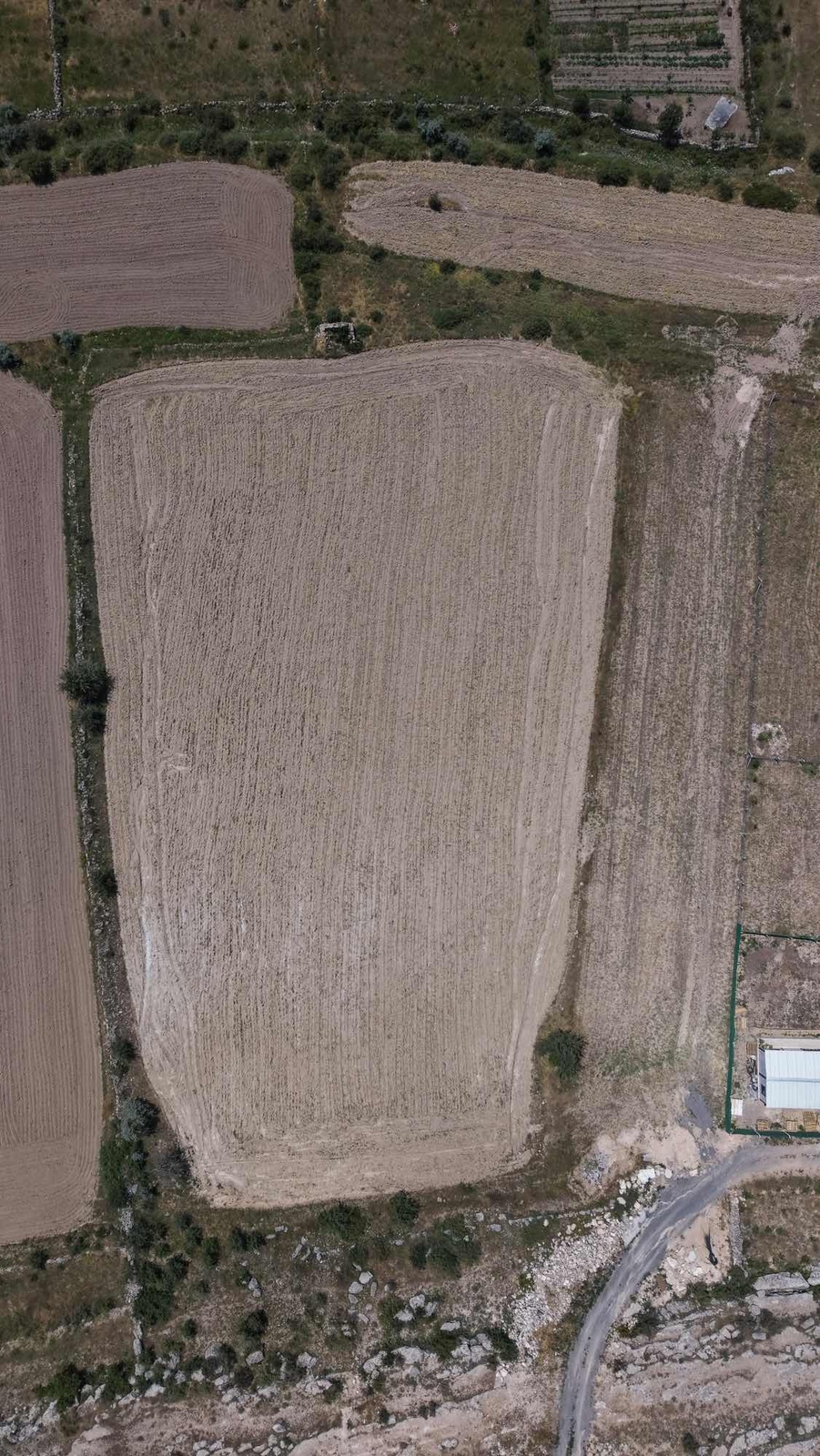 GESİ GÜZELKÖY DE 8986 m2 İMARA 50m MESAFEDE - Resim 8