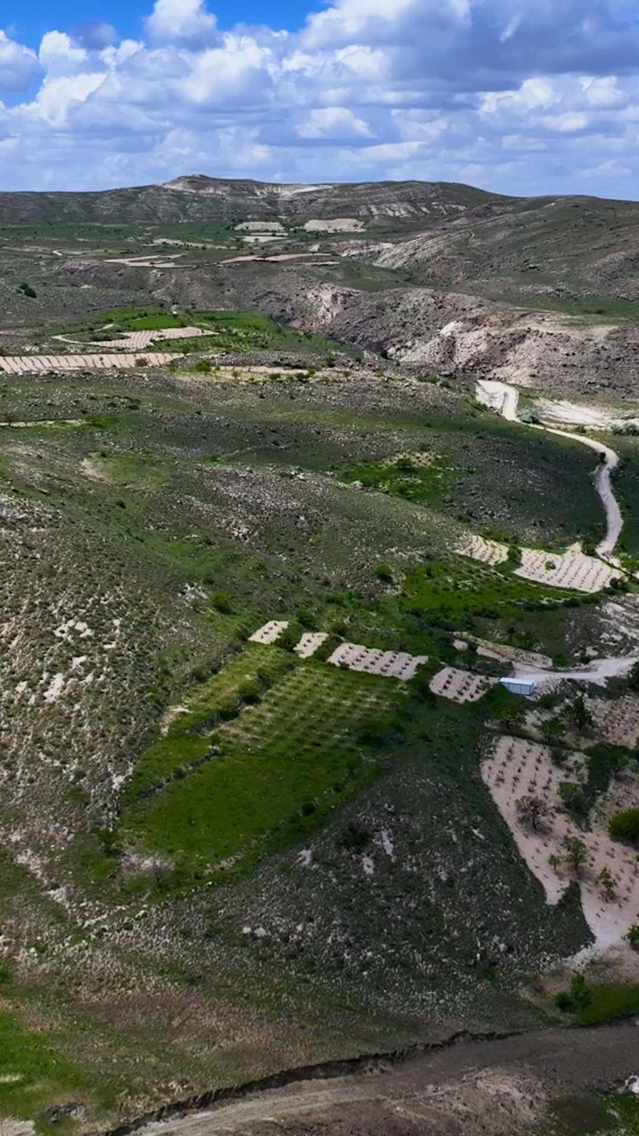 ÜRGÜP KARACAÖRENDE BAĞ(DRONE VİDEOLU) - Resim 8