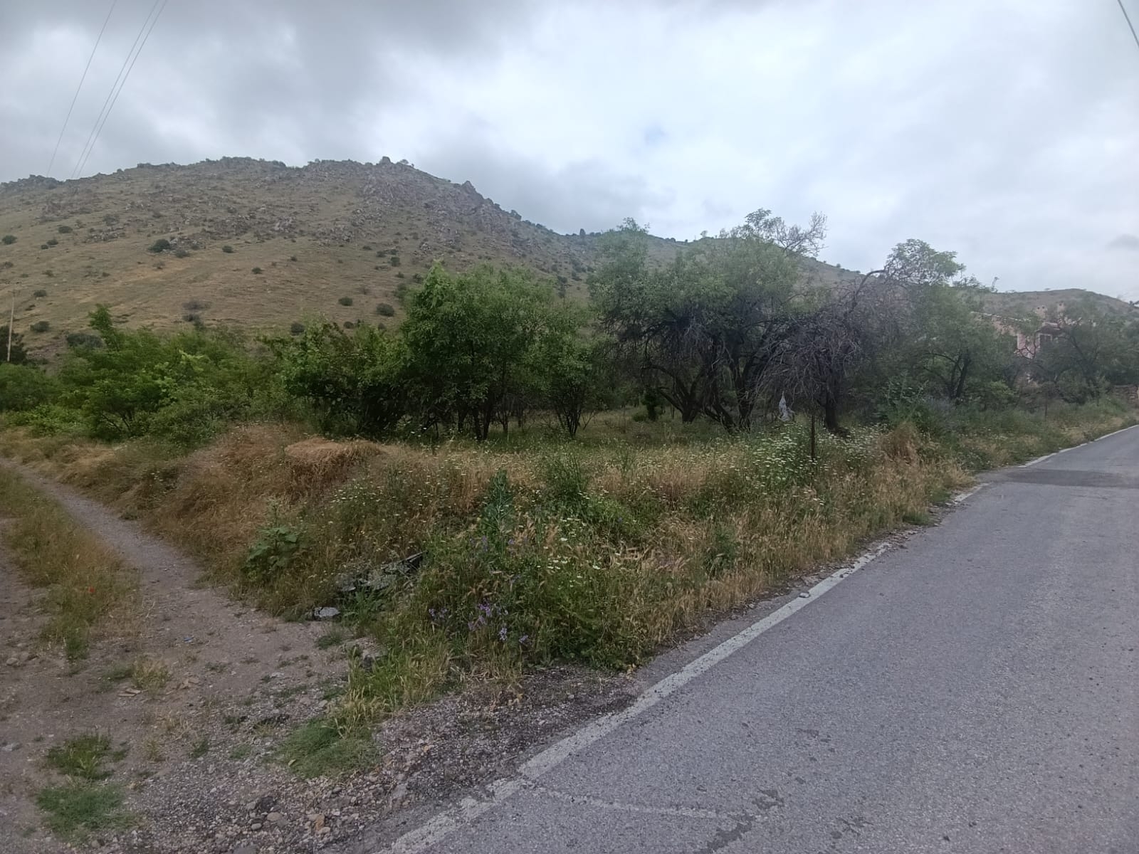 Altınolukta Manzaralı Anayola Cephe Satılık Kadastro Parsel - Resim 17